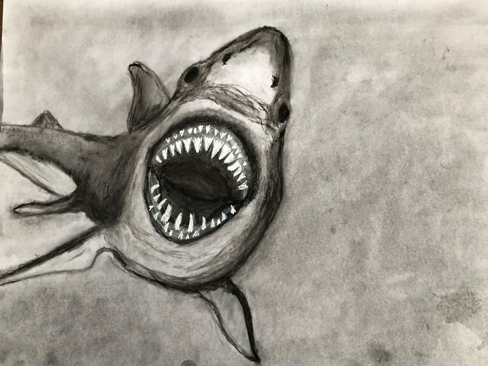 Apple iPhone 8 sample photo. Teeth, shark, bite photography