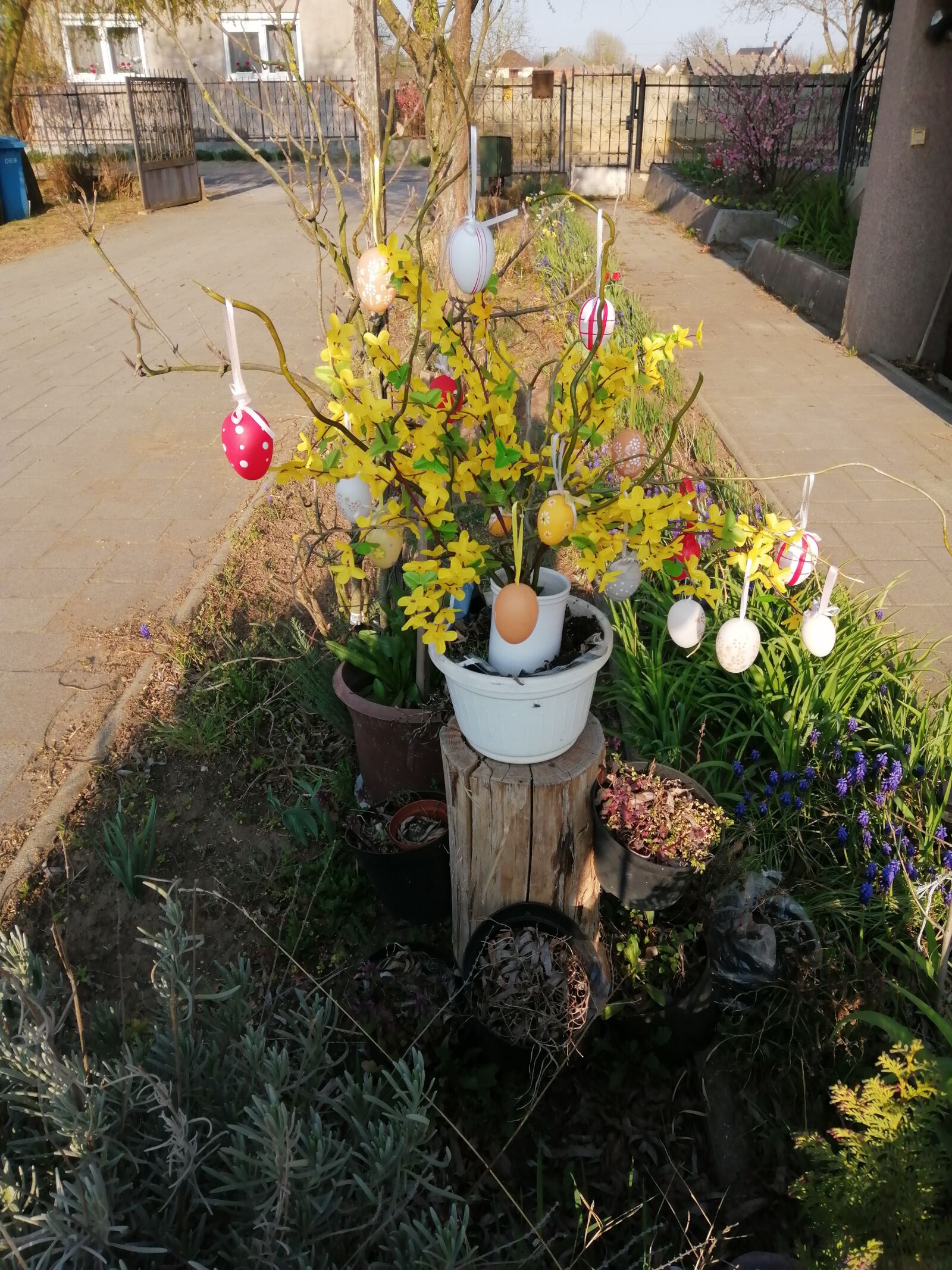 HUAWEI P SMART 2019 sample photo. Easter, holiday, spring photography