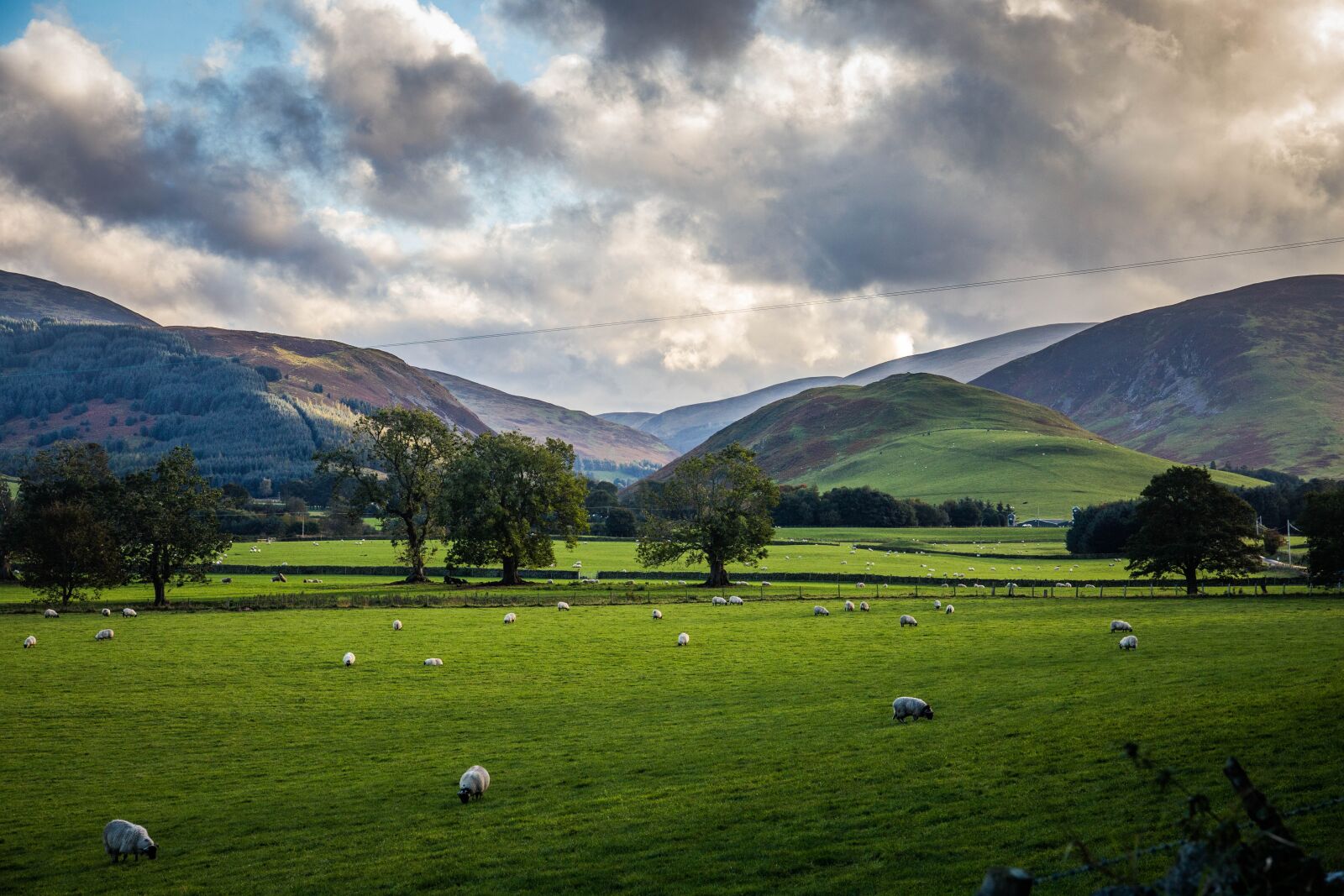 Canon EOS 6D sample photo. Field, scotland, landscape photography
