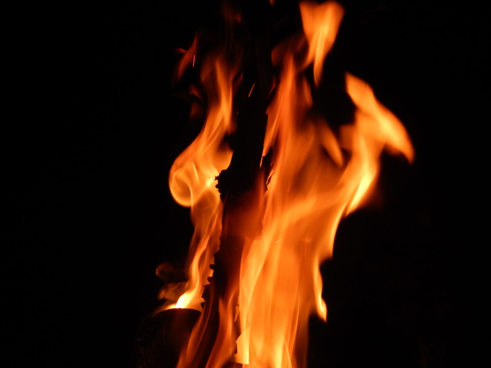 Nikon Coolpix L830 sample photo. Fire photography