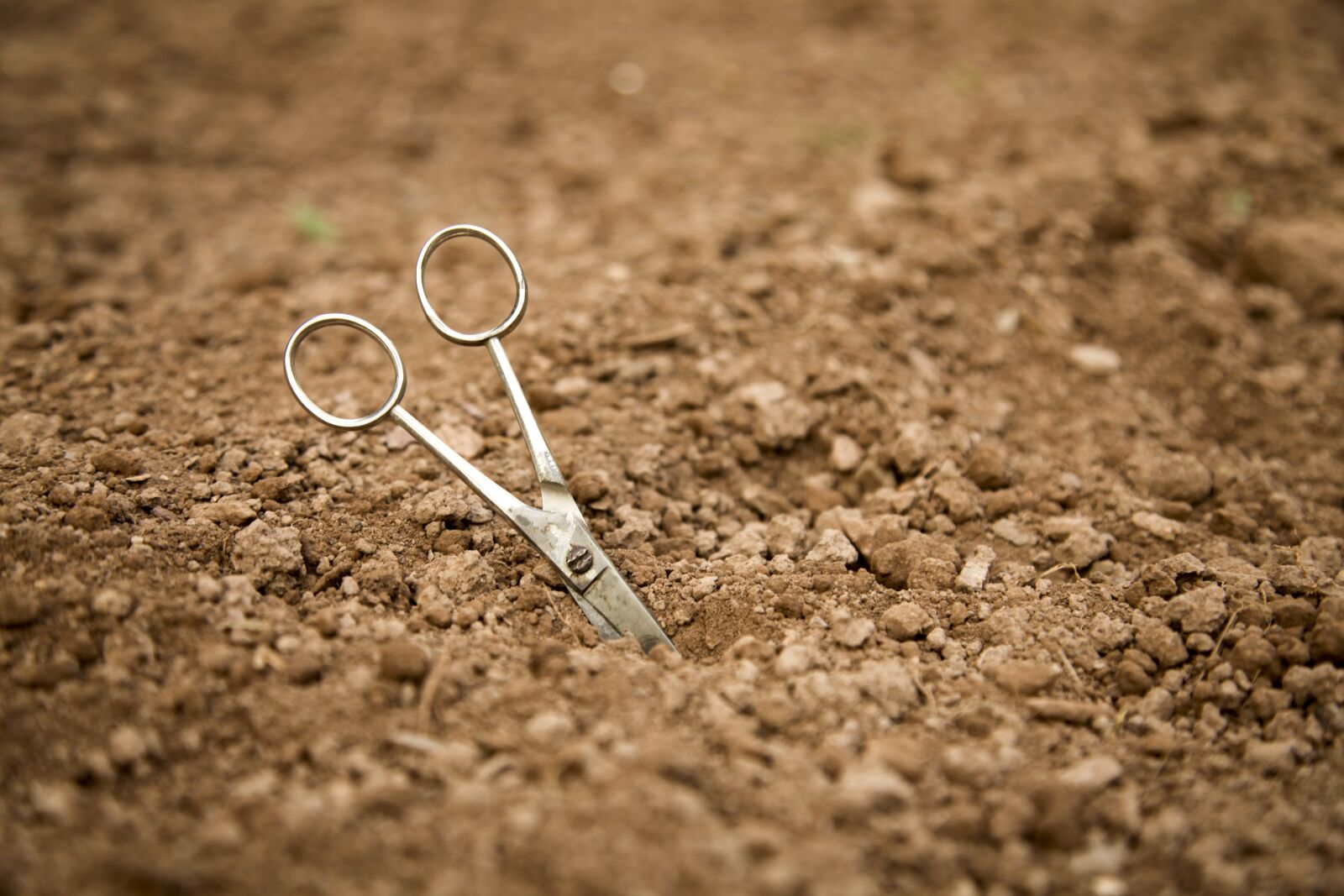 Canon EOS 5D Mark II + Canon EF 24-105mm F4L IS USM sample photo. Scissors, earth field, ground photography