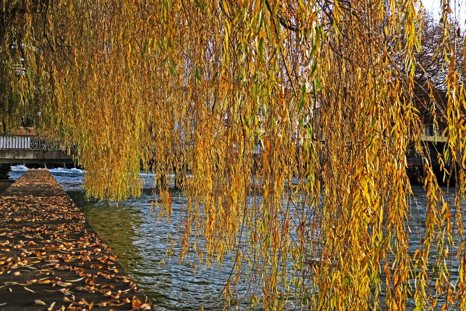 Canon PowerShot G7 X sample photo. Landscape, river, theme, colors photography