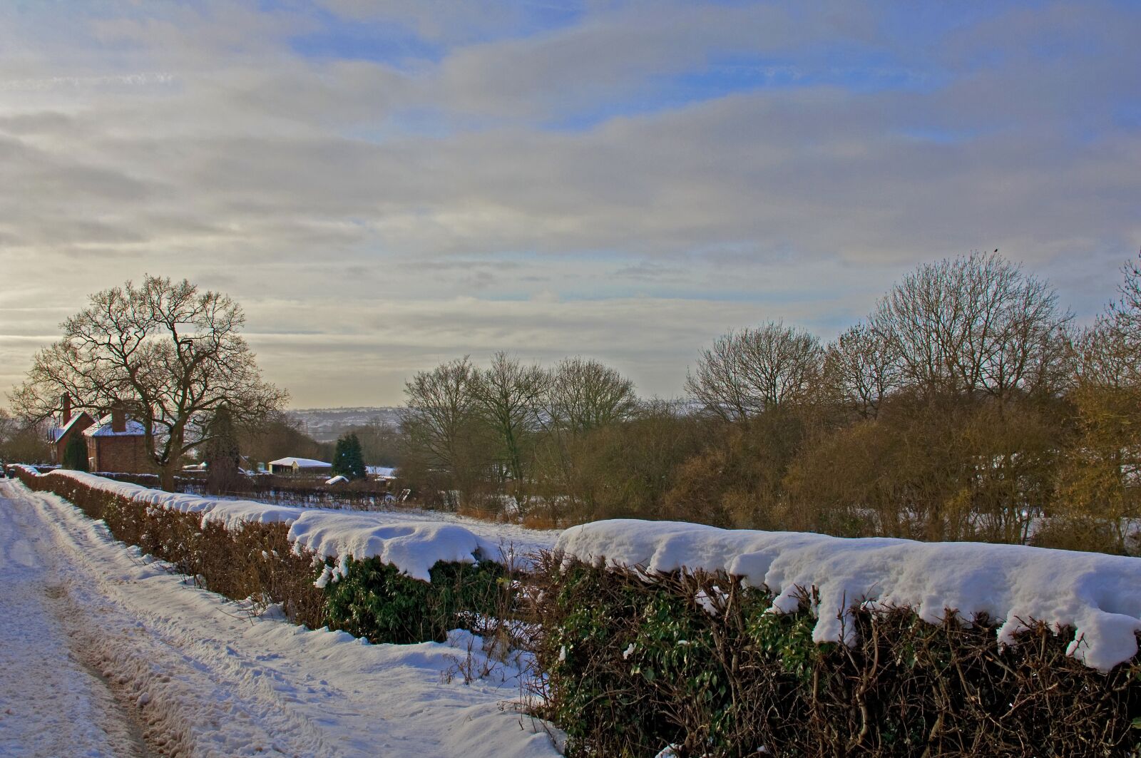 Nikon D2X sample photo. Snow, landscape, winter photography