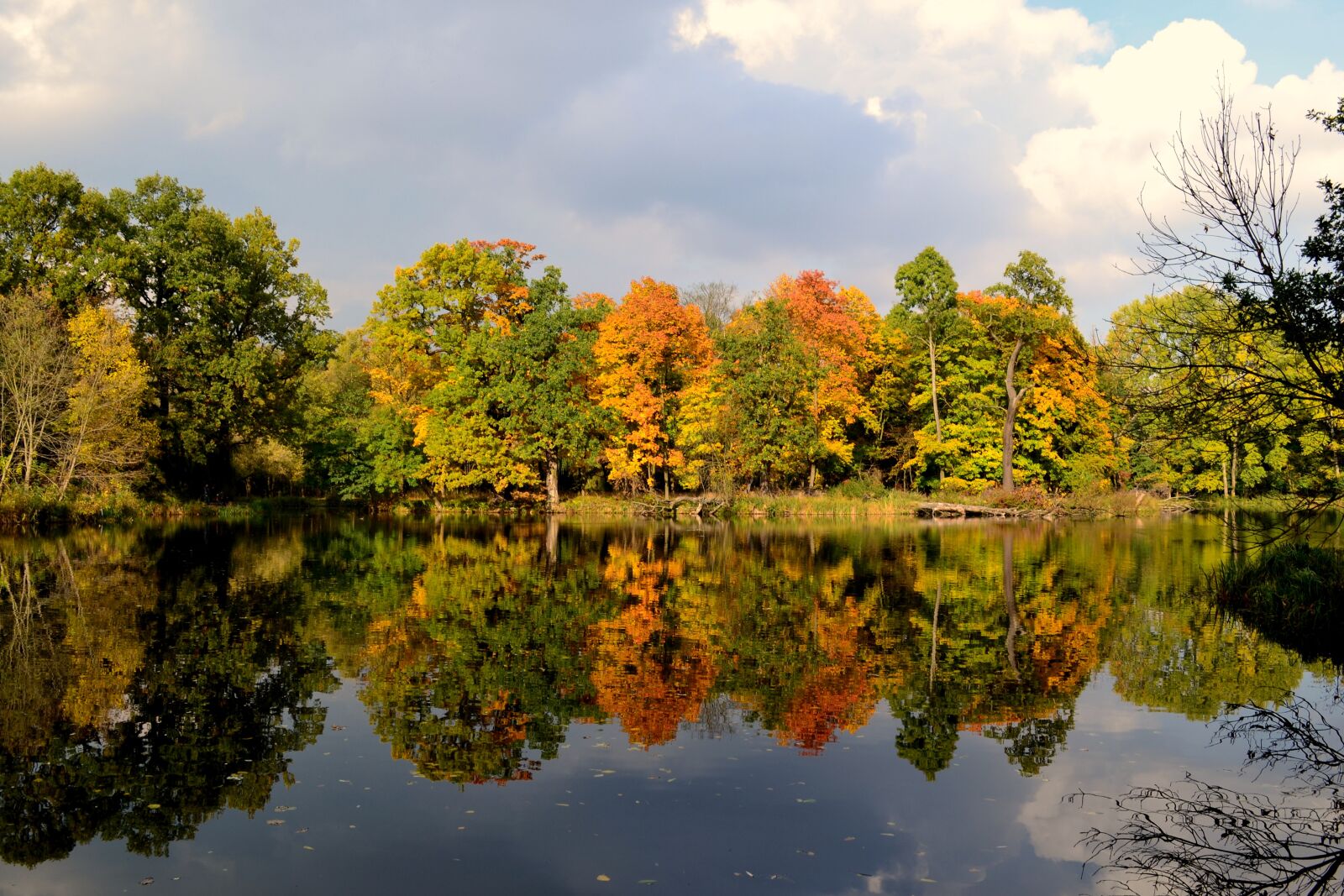Nikon D3100 sample photo. Water, autumn gold, cloudy photography