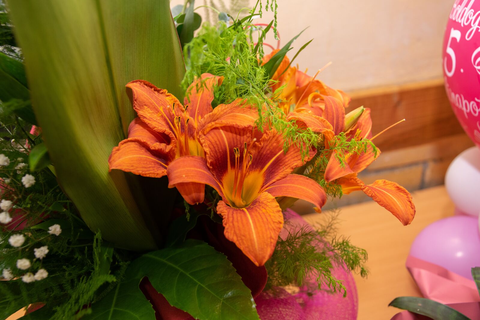 Nikon D3300 sample photo. Flower, orchid, blooms at photography