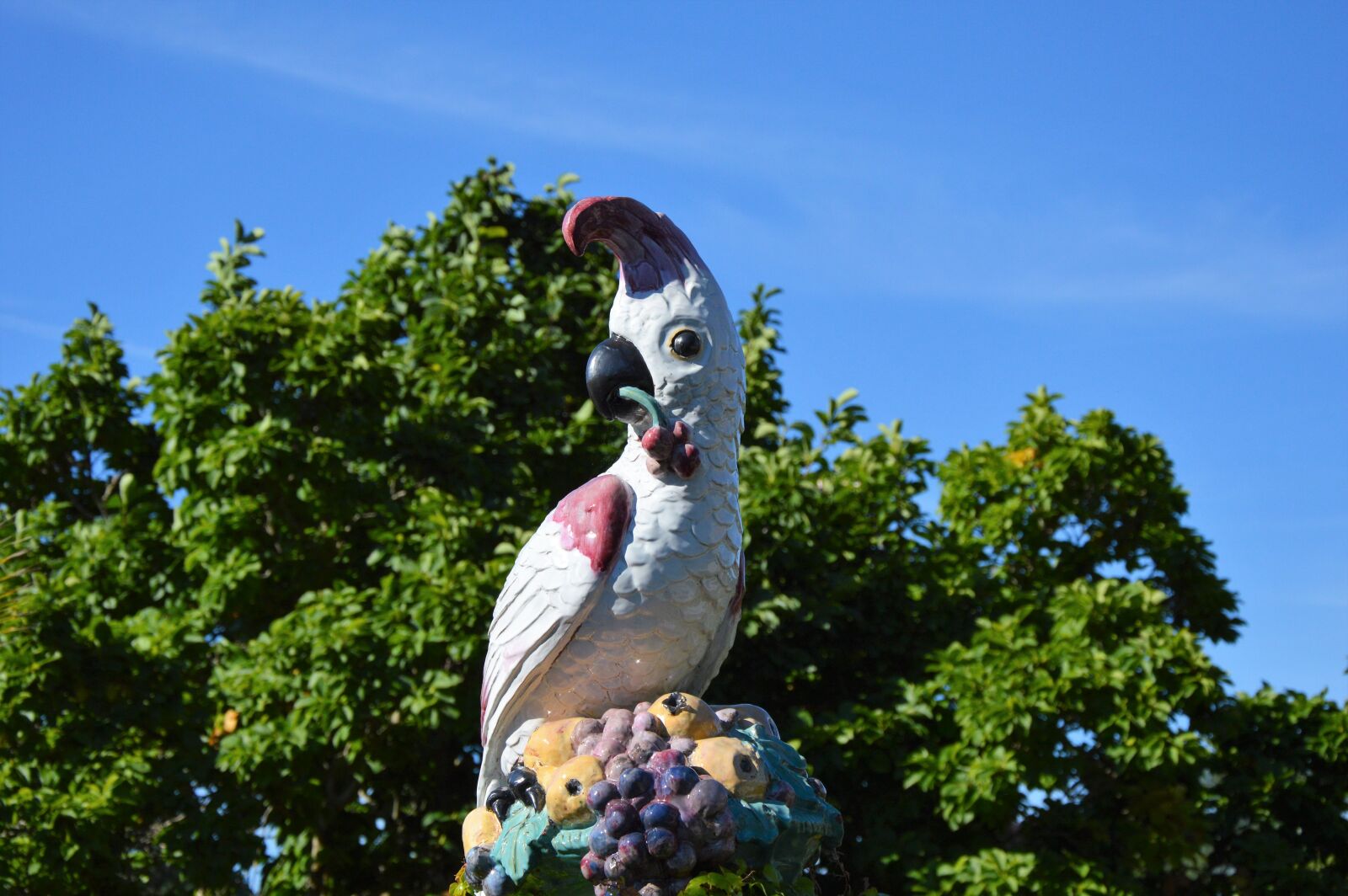 Nikon D3200 sample photo. Parrot, figure, deco photography