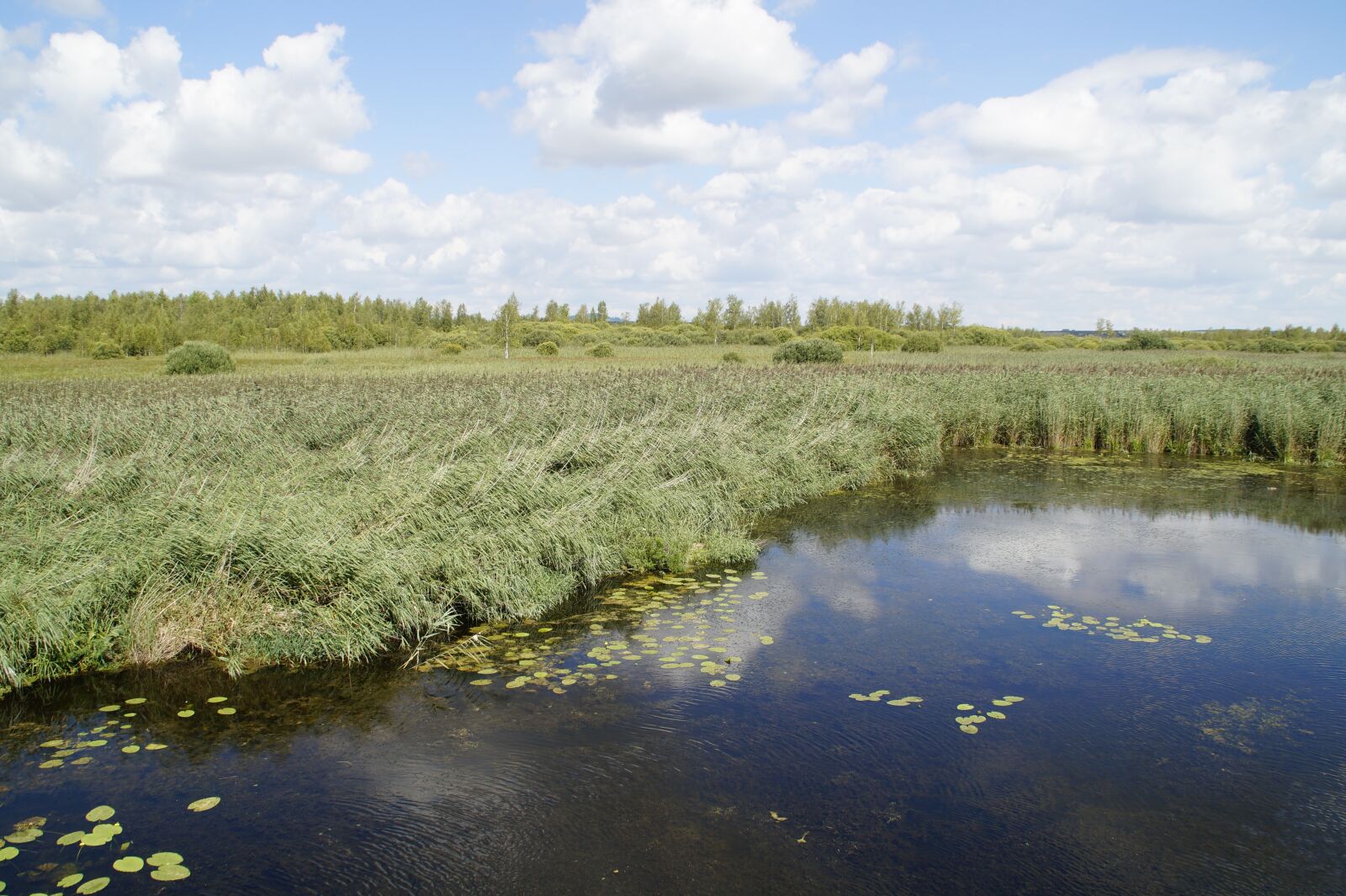 Sony SLT-A58 sample photo. Landscape, spring lake, nature photography