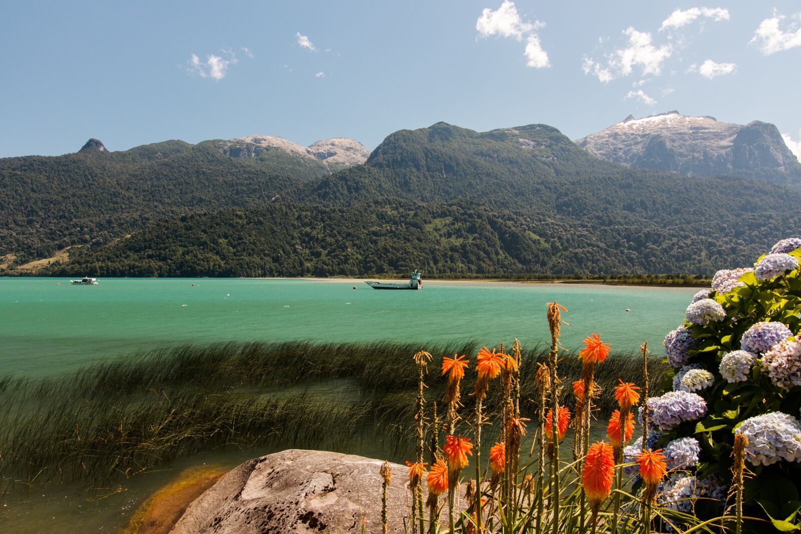 Canon EOS 70D + Canon EF-S 10-22mm F3.5-4.5 USM sample photo. South america, chile, llanquihue photography