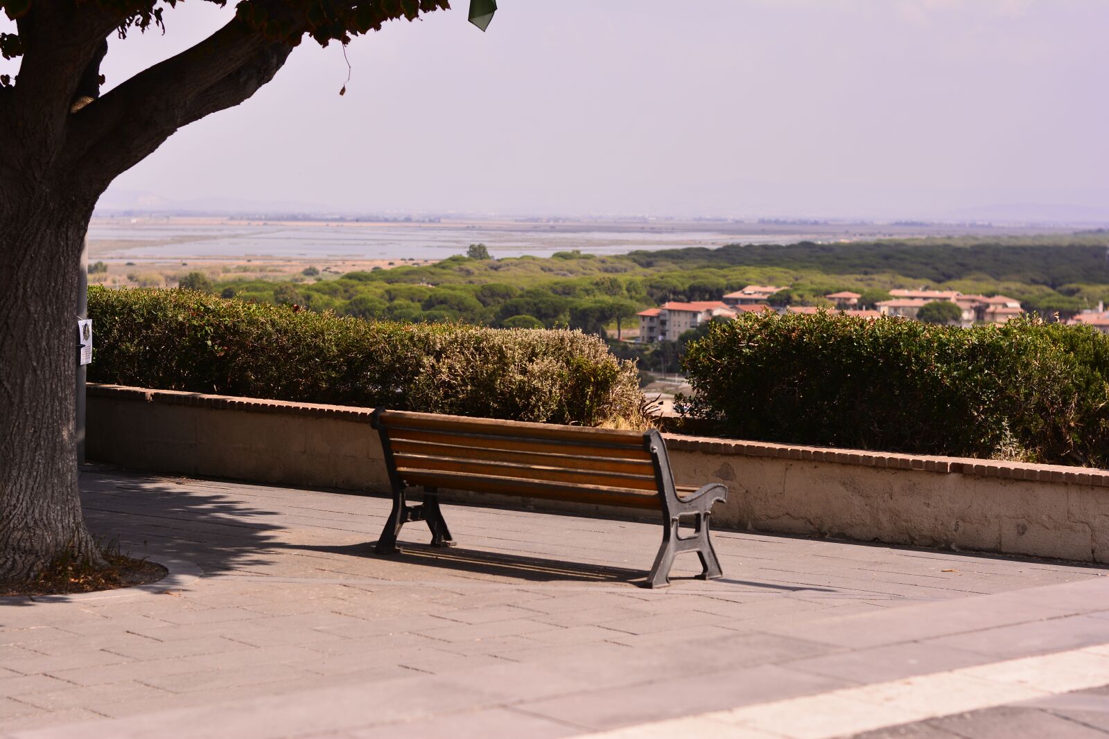 Nikon D7100 sample photo. Bench, lonely, tree photography