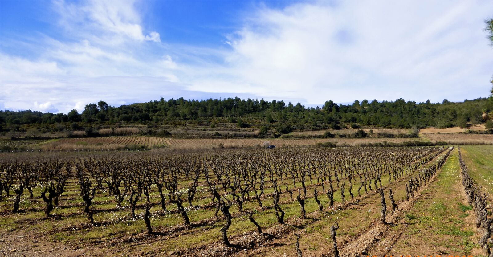 Panasonic Lumix DMC-ZS25 (Lumix DMC-TZ35) sample photo. Nature, france, aude photography