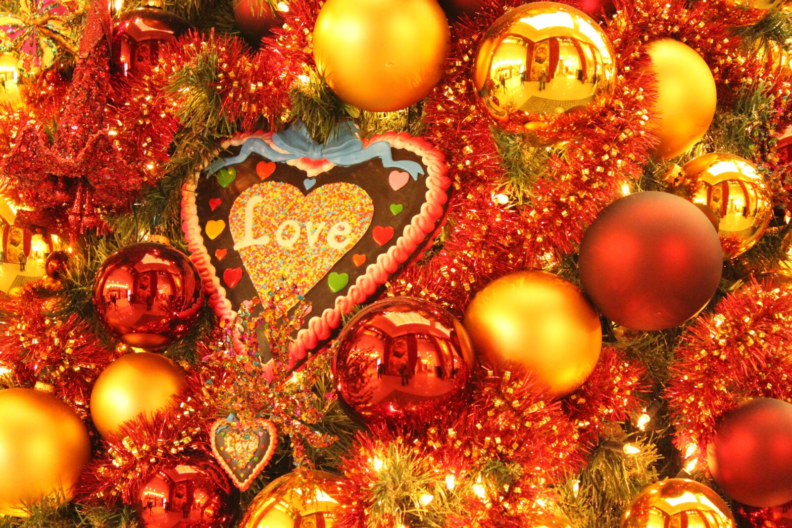 Canon EOS 500D (EOS Rebel T1i / EOS Kiss X3) sample photo. Love, christmas, christmas time photography