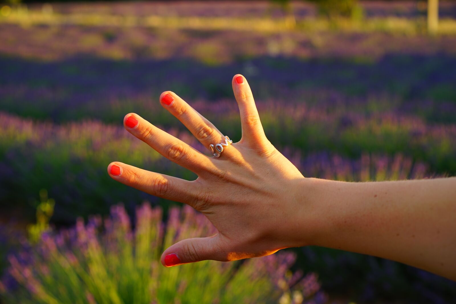 Sony a7 + Sony Sonnar T* FE 55mm F1.8 ZA sample photo. Hand, finger, finger ring photography