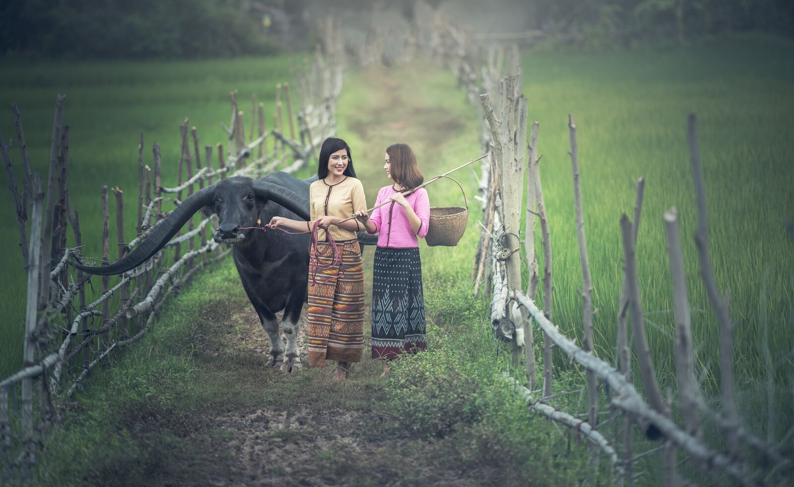 Nikon D810 sample photo. Agriculture, animals, asia photography