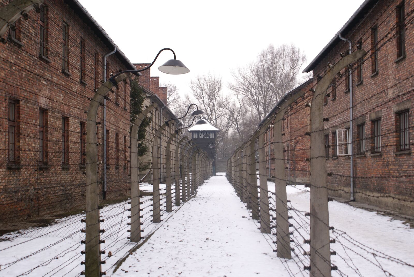 Sony Alpha DSLR-A100 sample photo. Auschwitz, kz, poland photography
