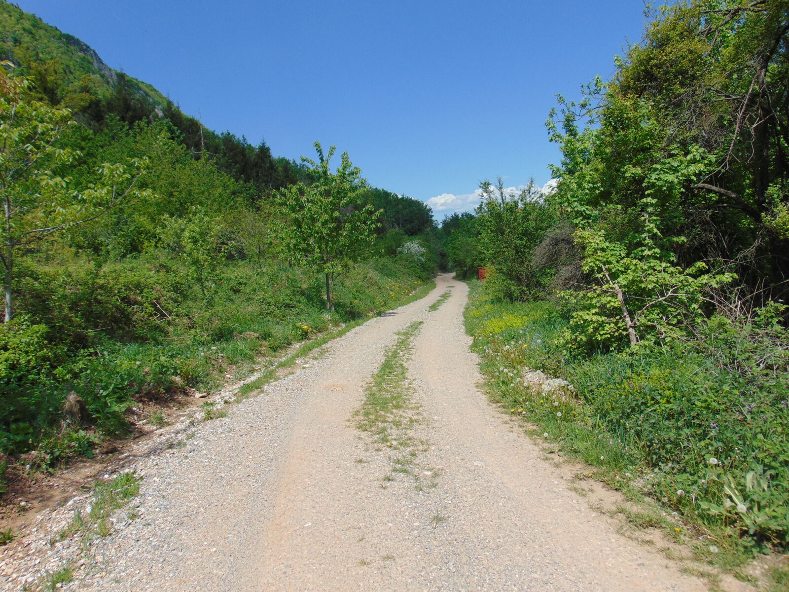 Sony Cyber-shot DSC-H300 sample photo. Nature, path, pathway, road photography