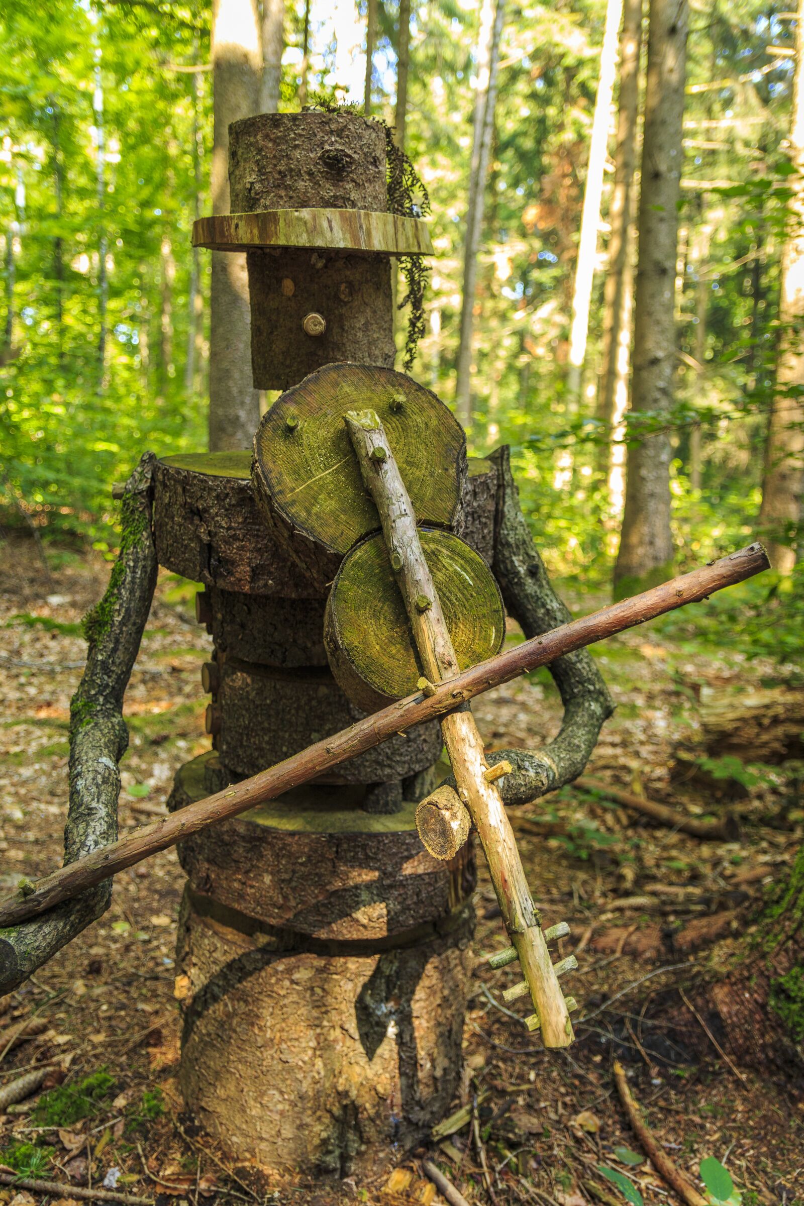Canon EOS 650D (EOS Rebel T4i / EOS Kiss X6i) sample photo. Carving, funny, wood photography