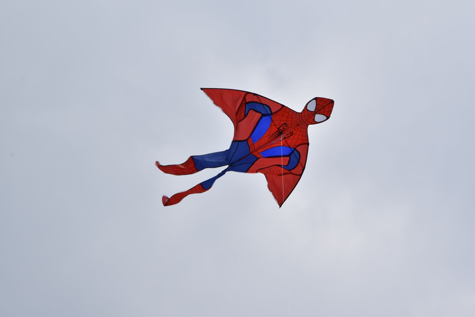 Nikon D5500 sample photo. Sky, flight, freedom photography