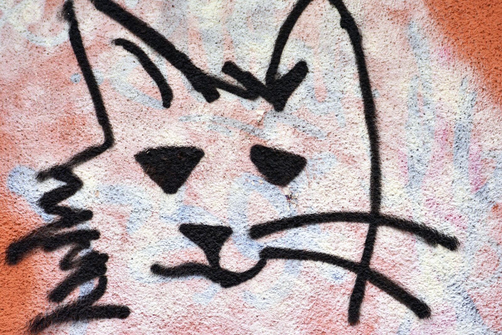 Nikon D5200 sample photo. Cat, head, art, graffiti photography