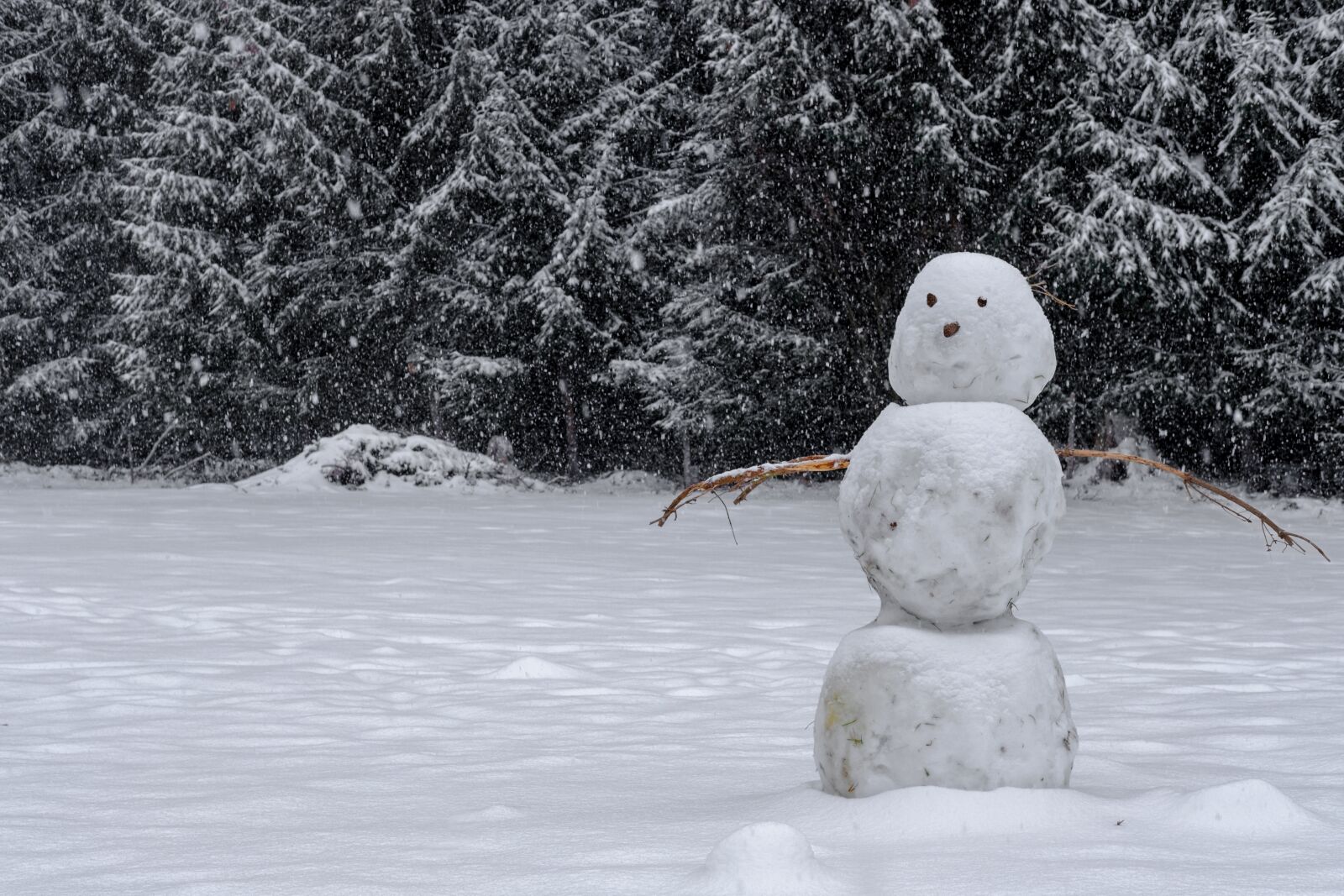 Fujifilm X-T2 + Fujifilm XF 35mm F2 R WR sample photo. Winter, snow, snowman photography