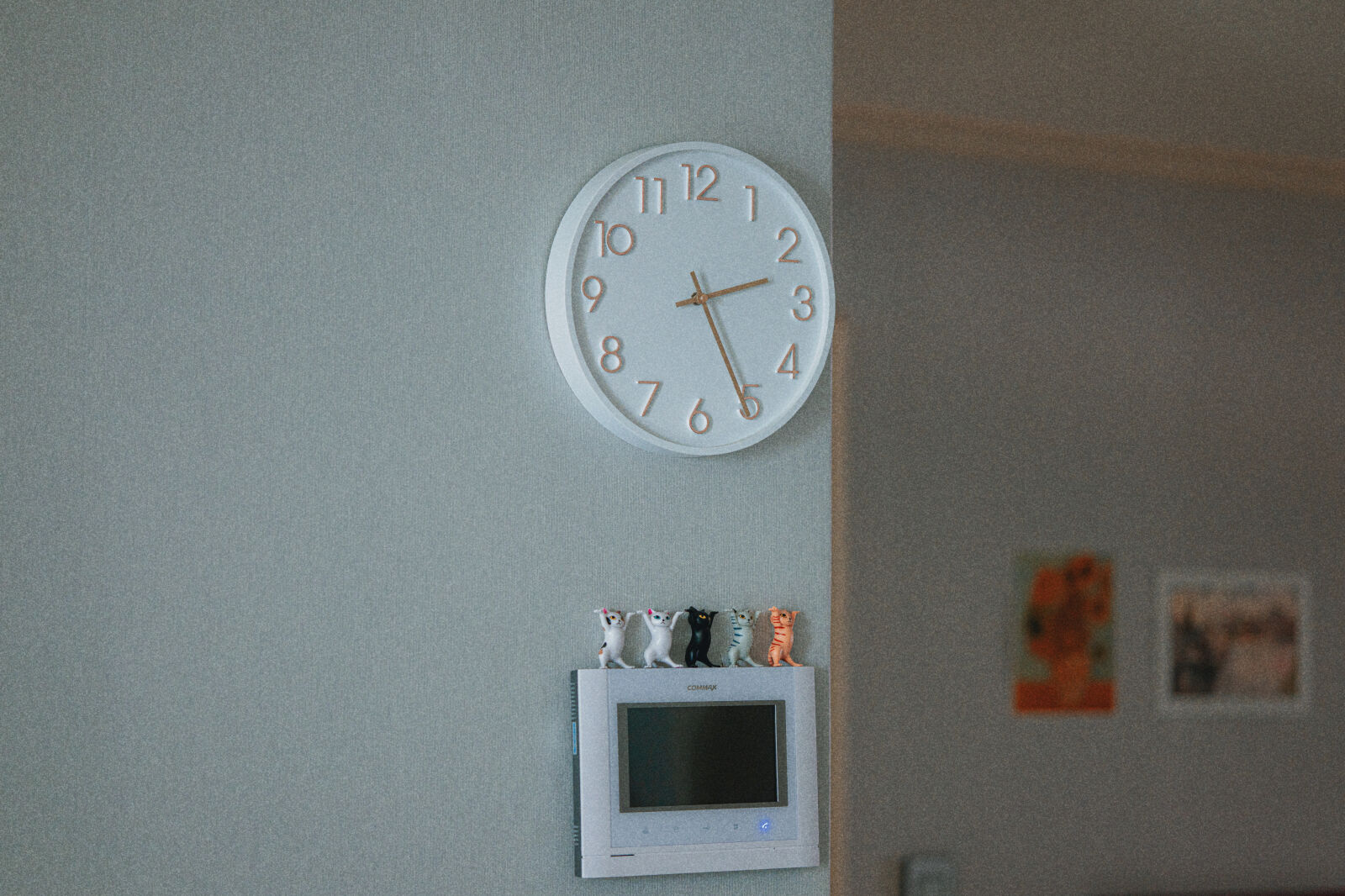 Nikon Nikkor Z 85mm F1.8 S sample photo
