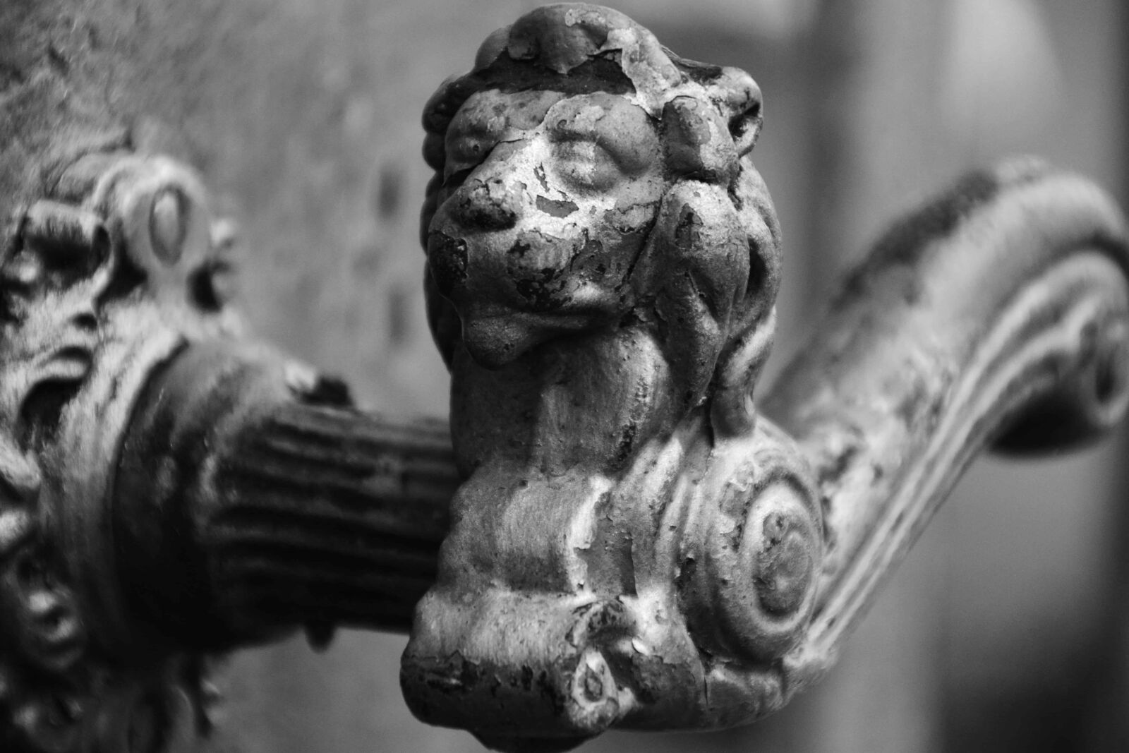 Nikon D3300 sample photo. Monochrome, object, detail, macro photography