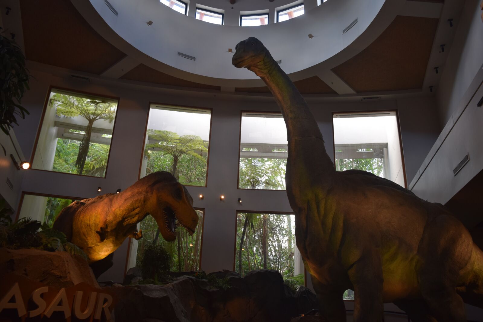 Nikon D3300 sample photo. Jurassic, park, dino photography