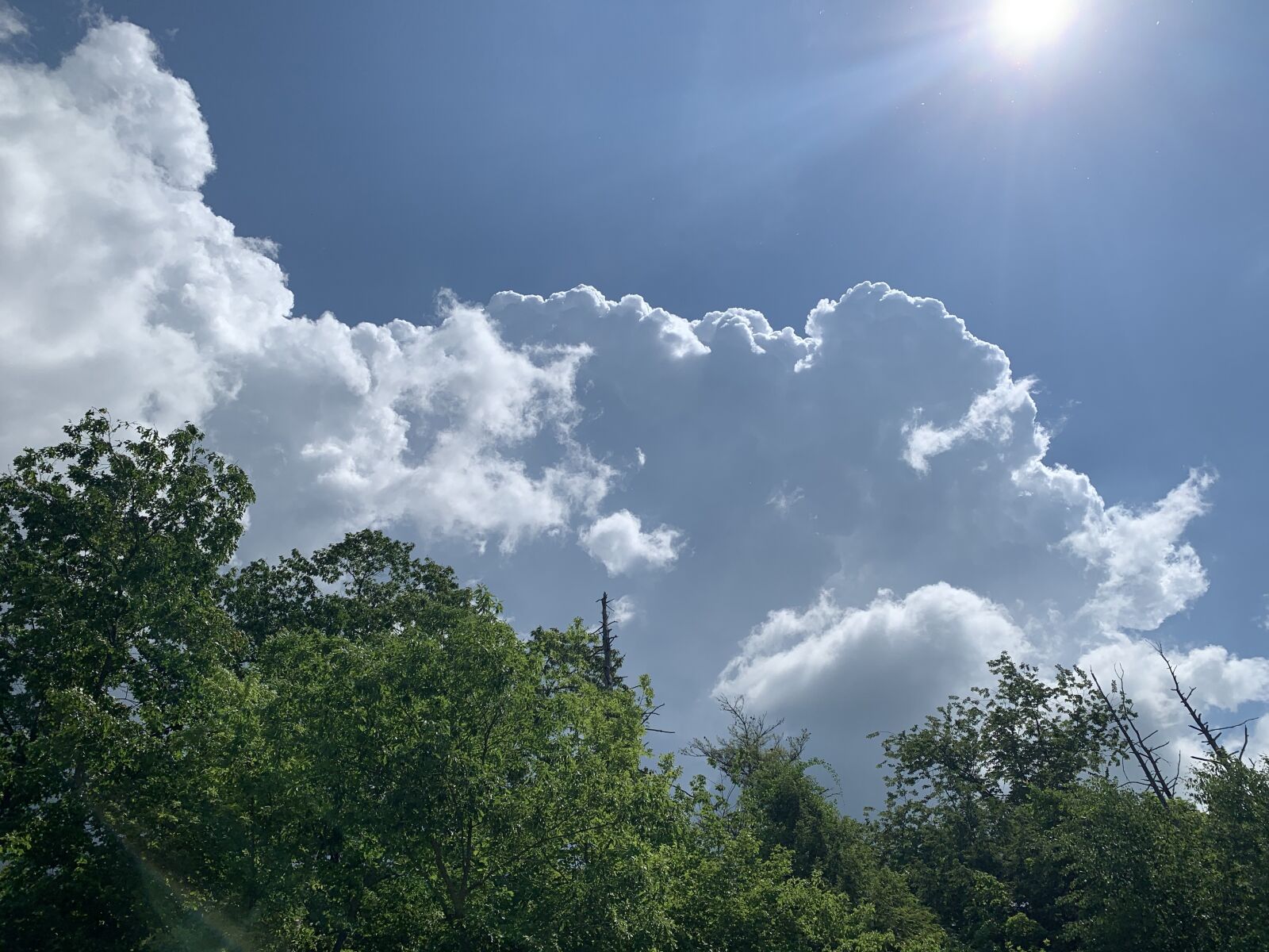 Apple iPhone XS sample photo. Sky, clouds, summer photography