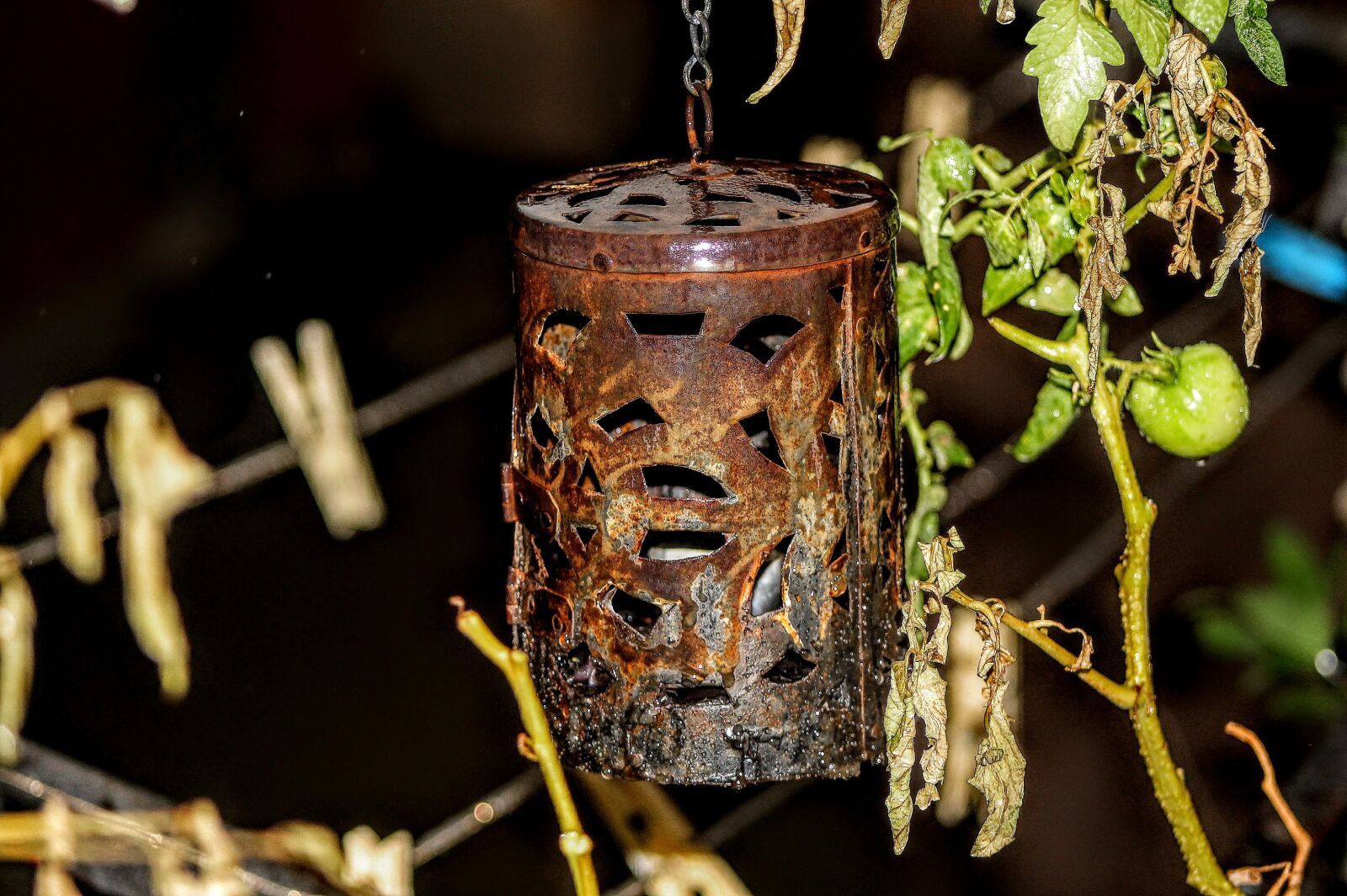 Canon EF75-300mm f/4-5.6 sample photo. Lantern, candelabrum, candle photography