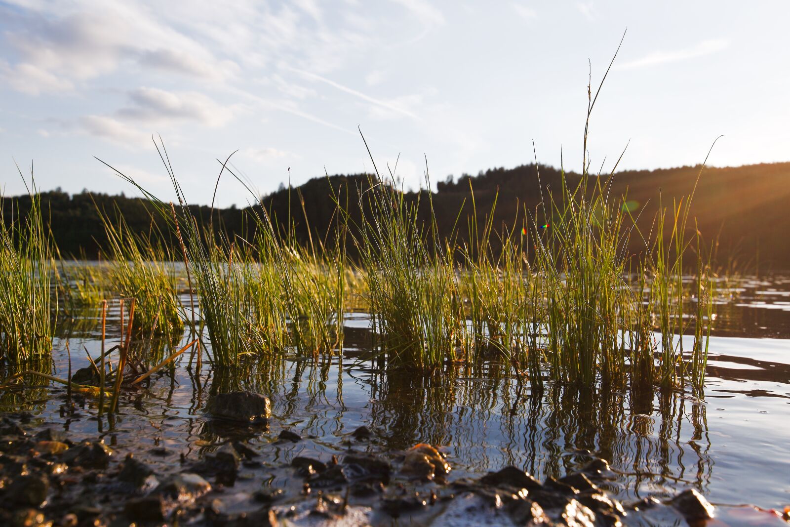 Canon EOS 6D sample photo. Waters, nature, reflection photography