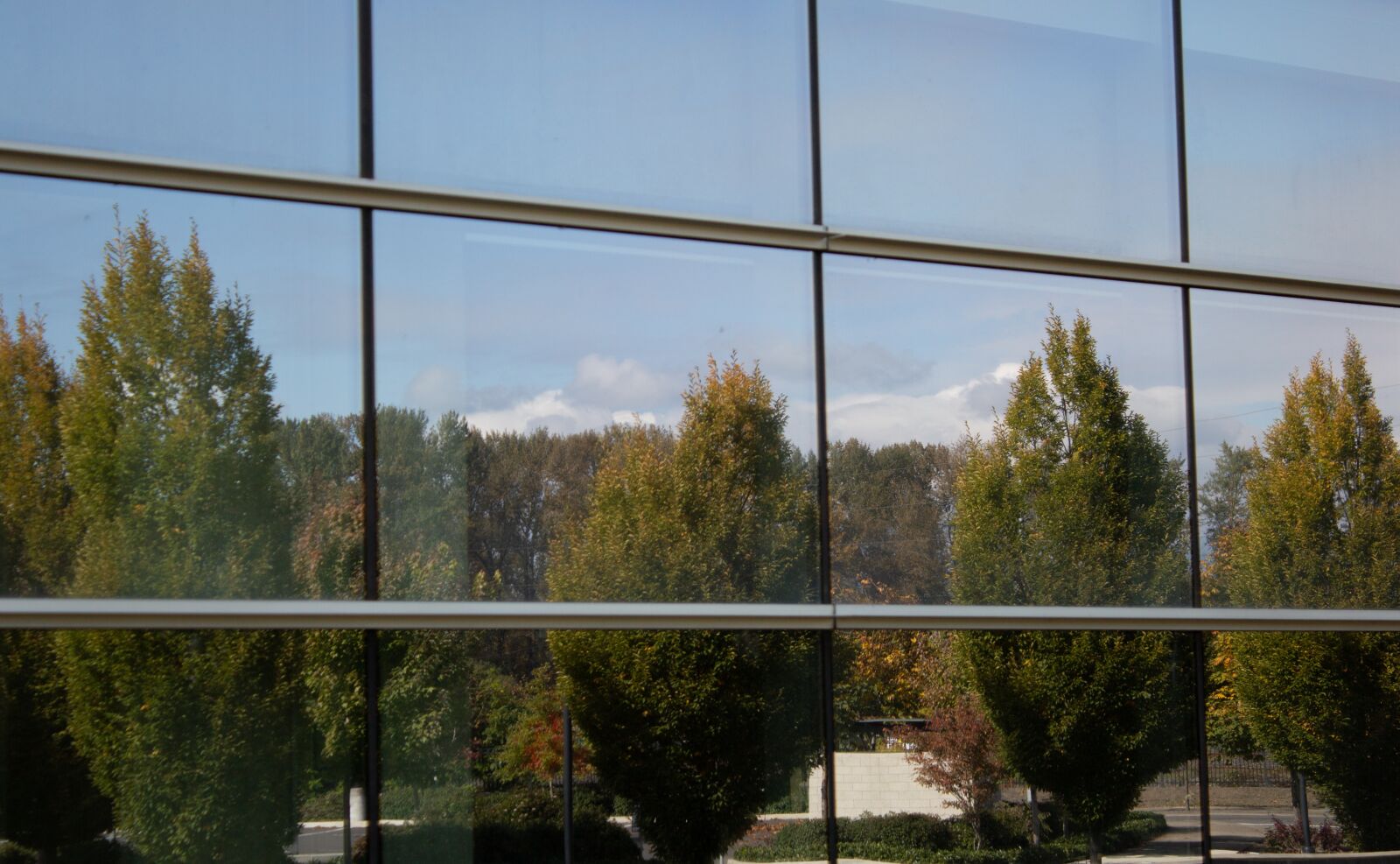Canon EOS 600D (Rebel EOS T3i / EOS Kiss X5) sample photo. Reflection, trees, reflections photography