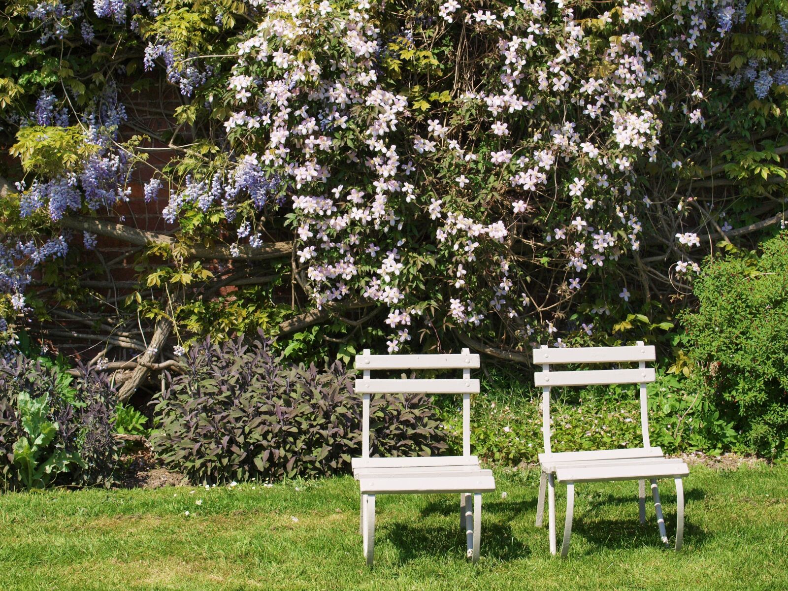 Olympus E-520 (EVOLT E-520) sample photo. Chairs, garden, seat photography