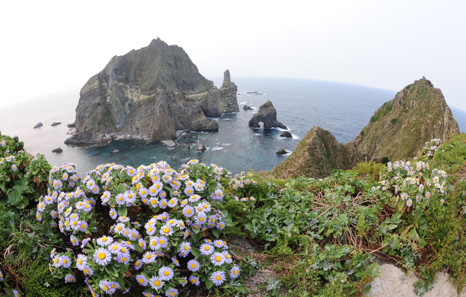 Nikon D3 sample photo. Dokdo, korea, our territory photography