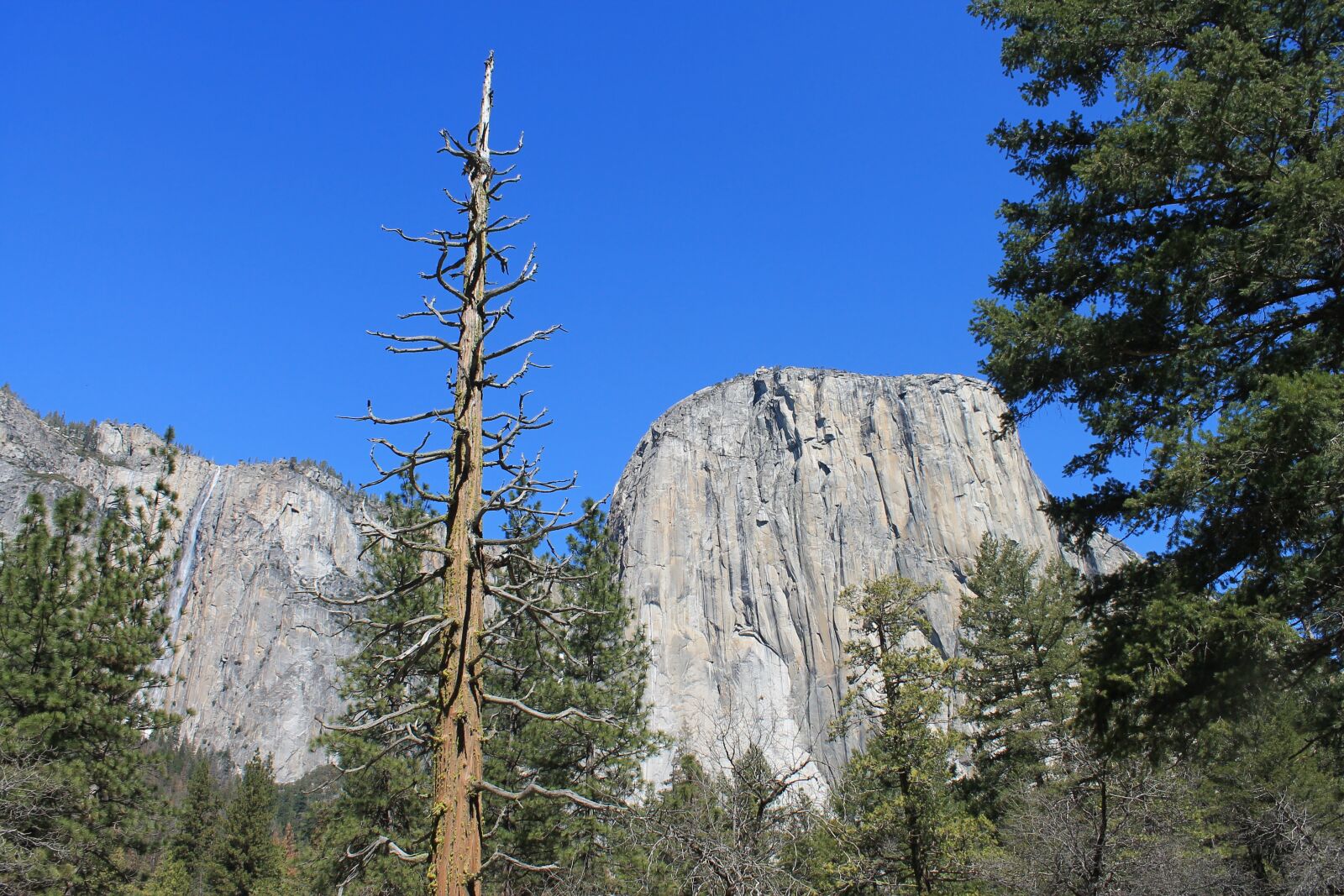 Canon EOS 1100D (EOS Rebel T3 / EOS Kiss X50) sample photo. El capitan, yosemite, usa photography