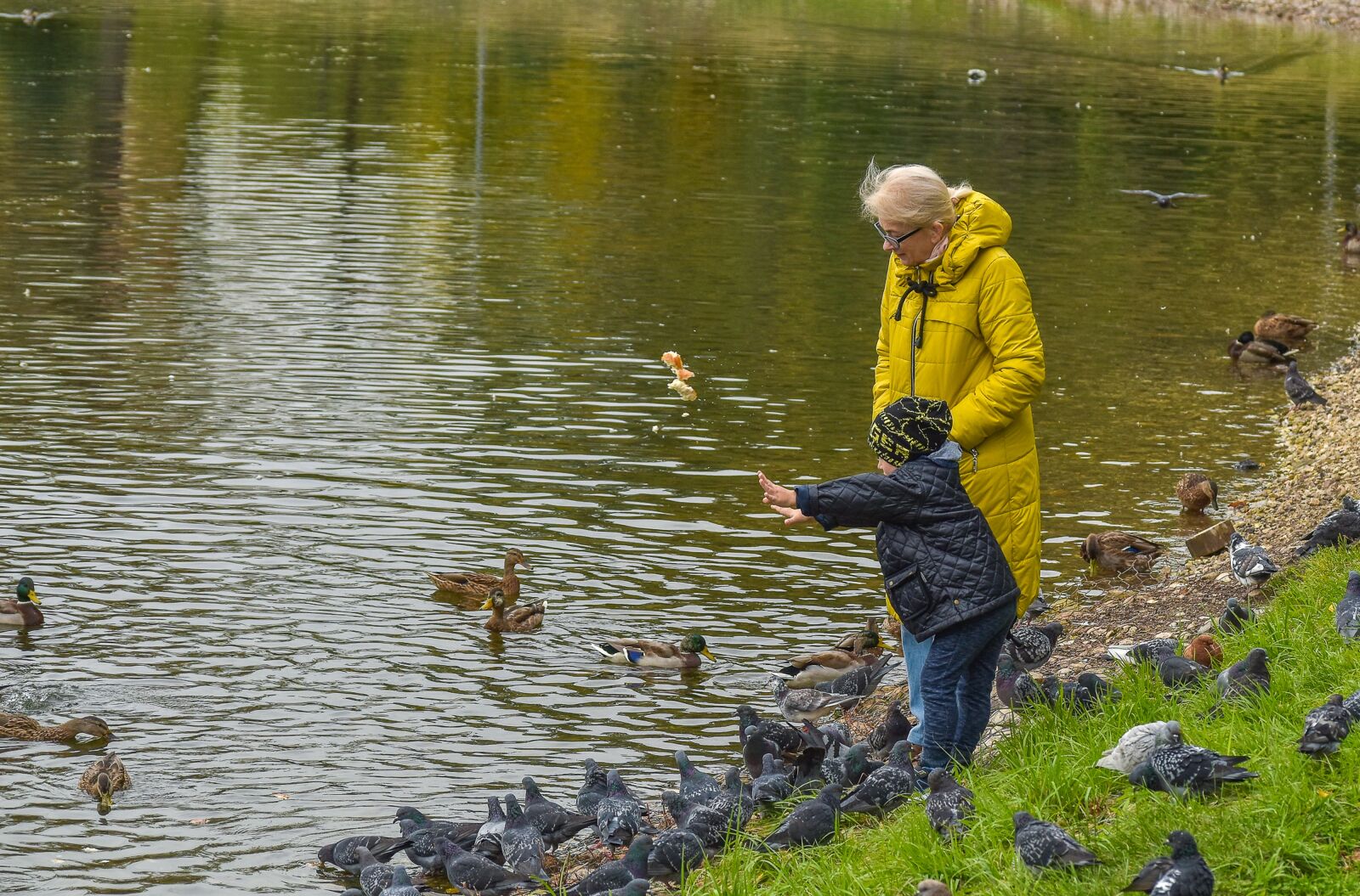 Nikon D5500 sample photo. People, birds, child photography