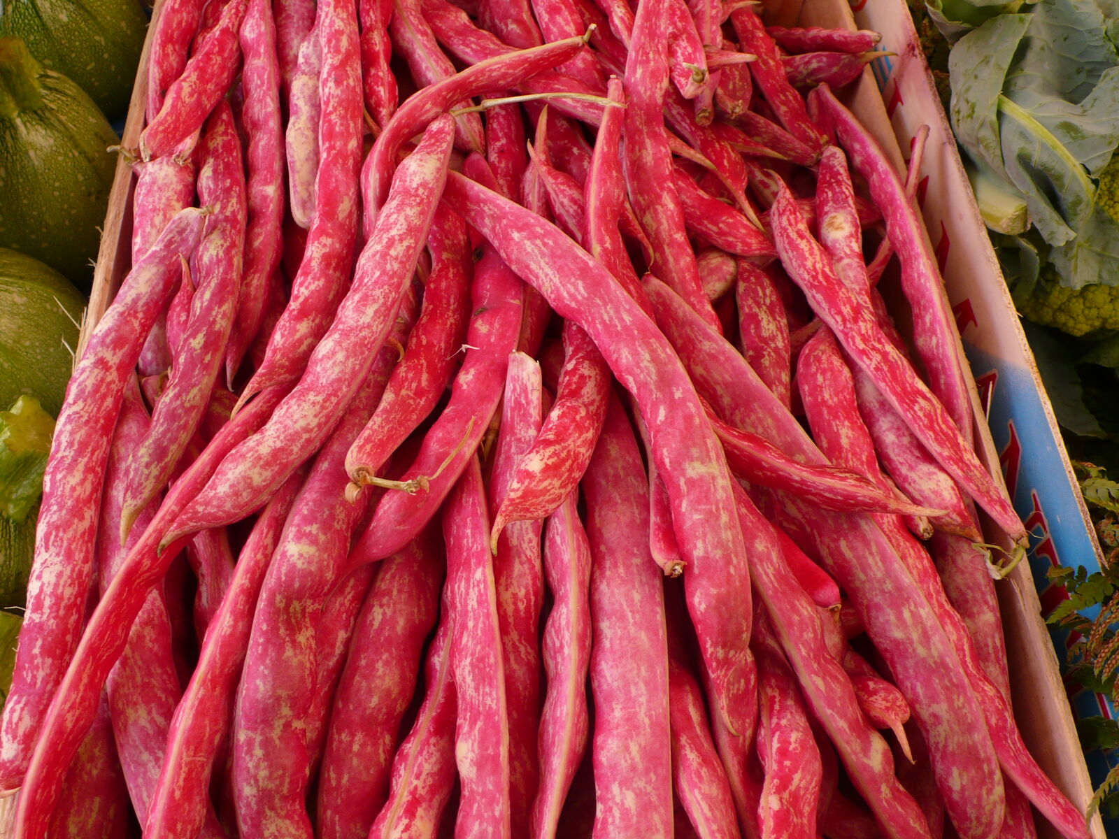 Panasonic DMC-LX2 sample photo. Beans, food, market, red photography