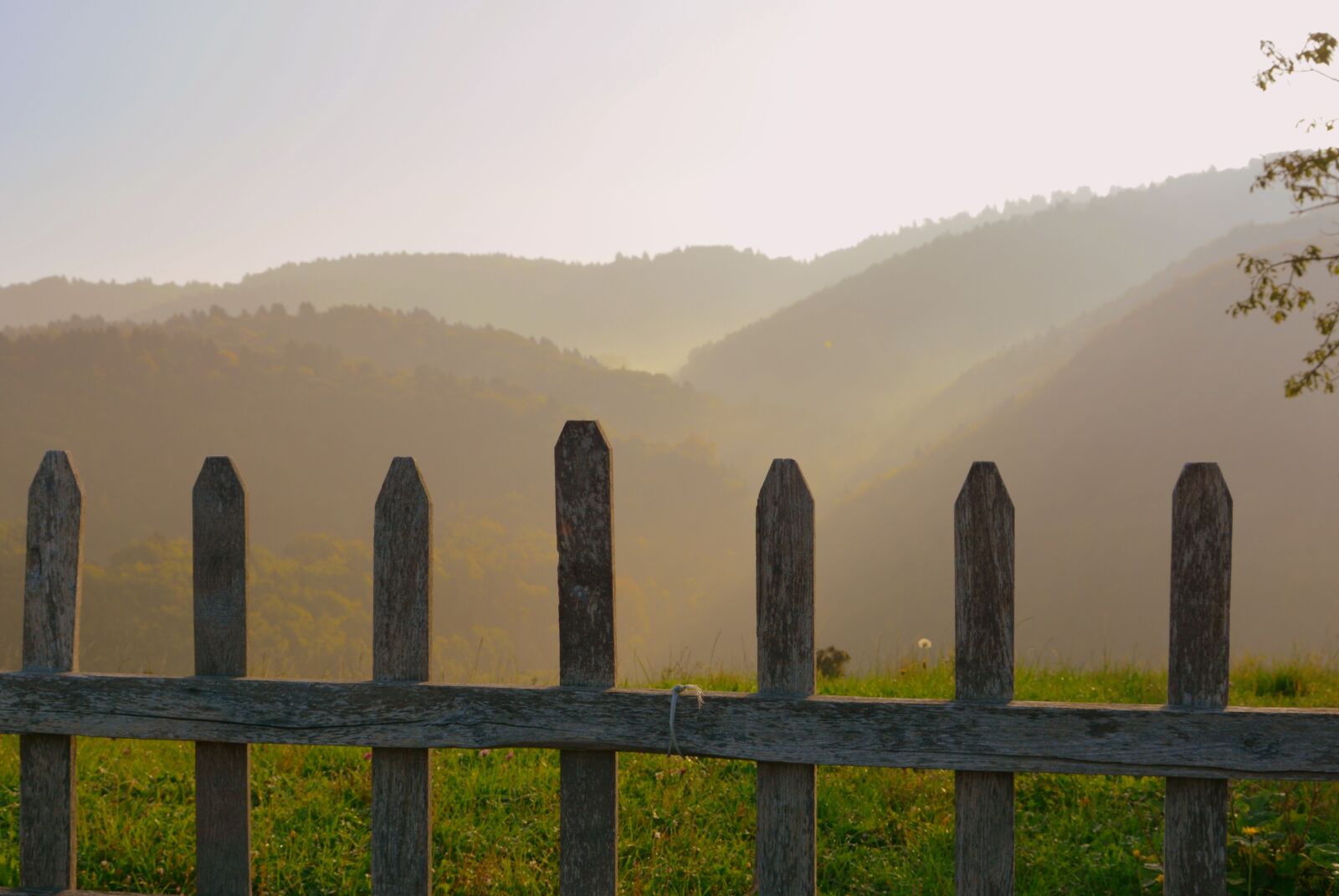 Nikon D7100 sample photo. Fence, mountain, fog photography