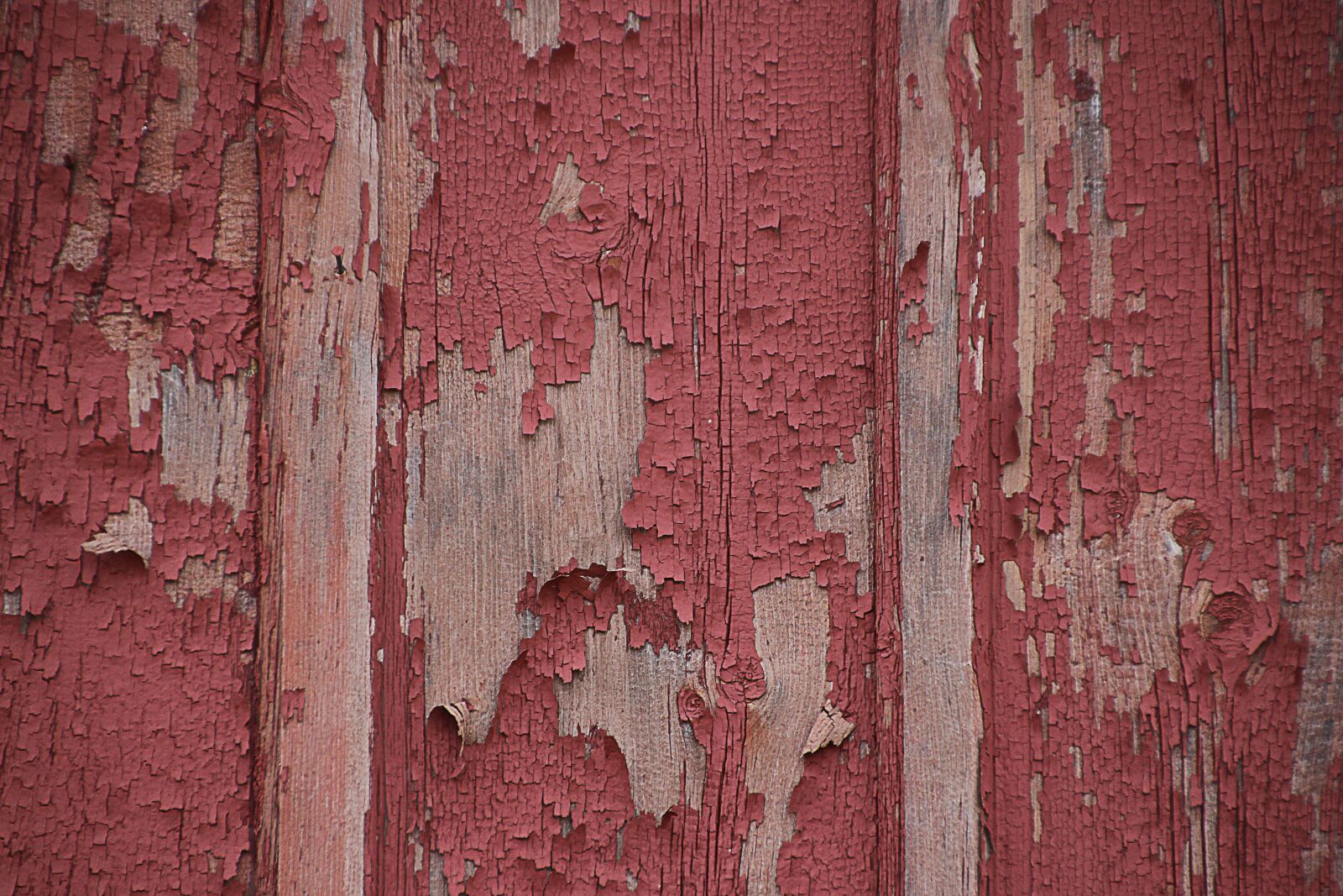 Canon EOS 700D (EOS Rebel T5i / EOS Kiss X7i) sample photo. Texture, wood, panel photography