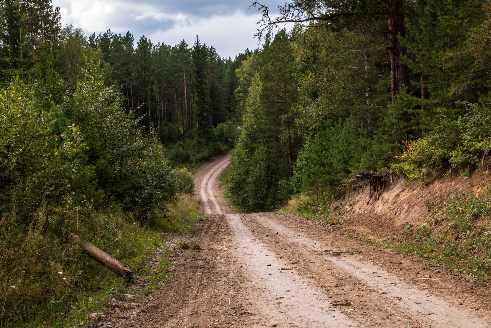 Canon EOS 70D + Canon EF-S 15-85mm F3.5-5.6 IS USM sample photo. Forest, road, trees photography