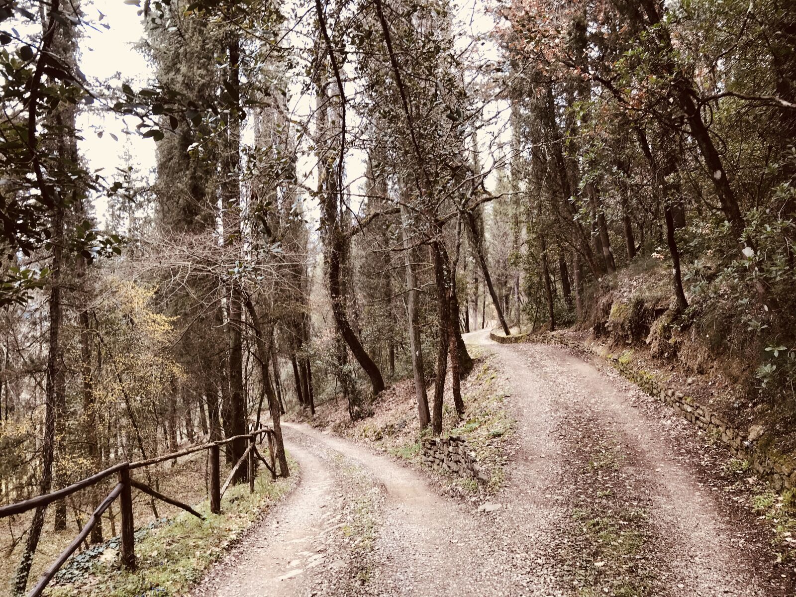 Apple iPhone 7 Plus sample photo. Roads, tuscany, italy photography