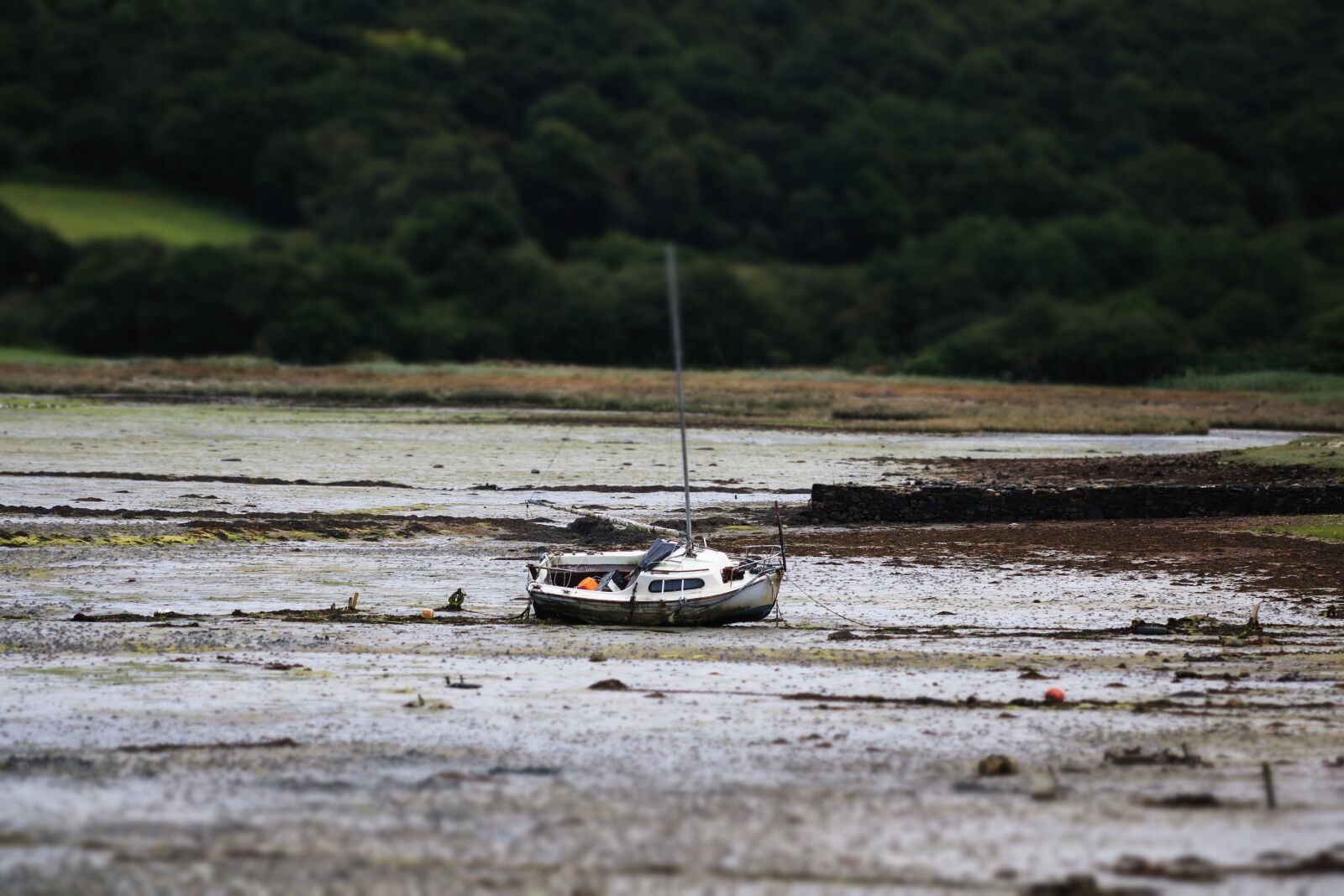 Canon EOS 750D (EOS Rebel T6i / EOS Kiss X8i) + EF75-300mm f/4-5.6 sample photo. Boat, sea, low tide photography