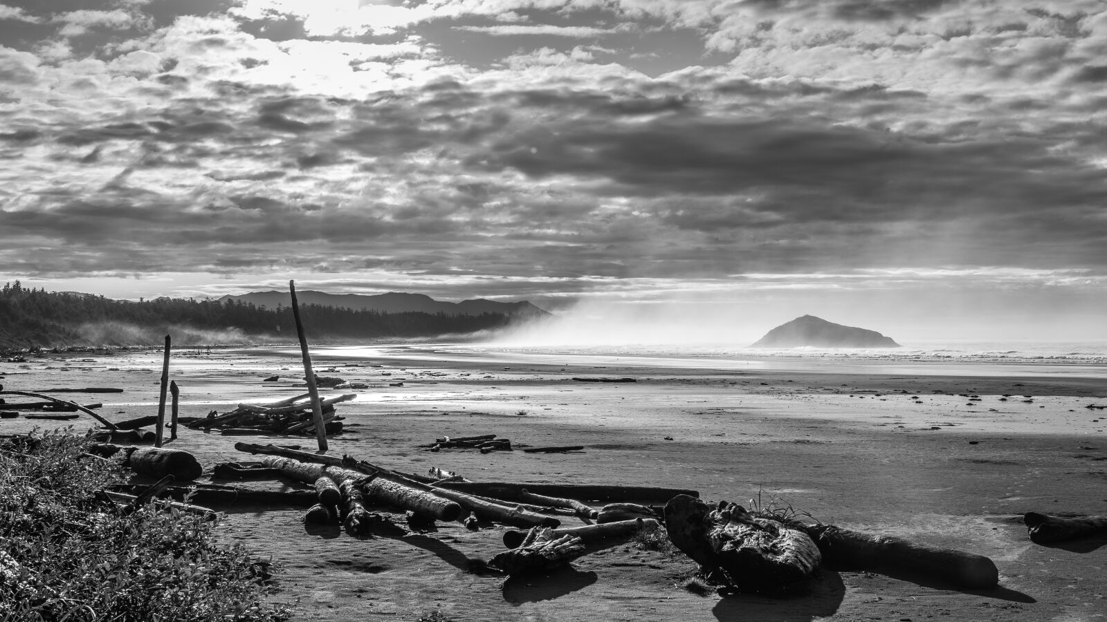 Sony FE 24-105mm F4 G OSS sample photo. Beach, tofino, vancouver island photography