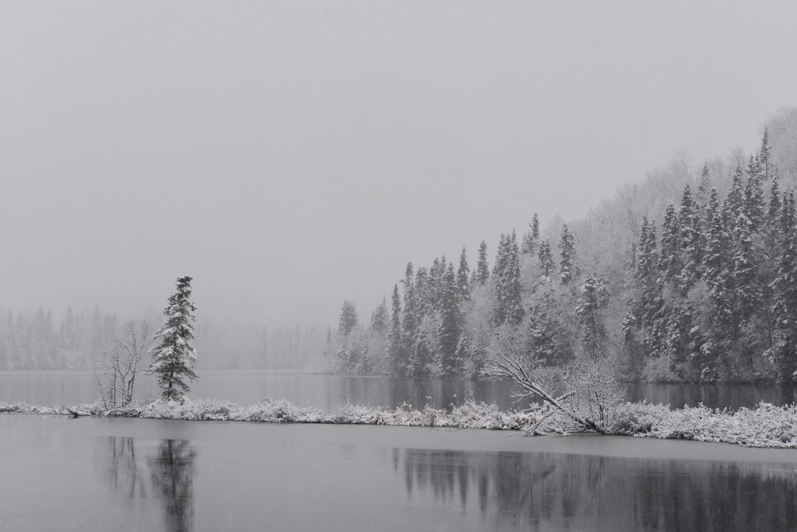 Nikon D610 sample photo. Snow, winter, nature photography