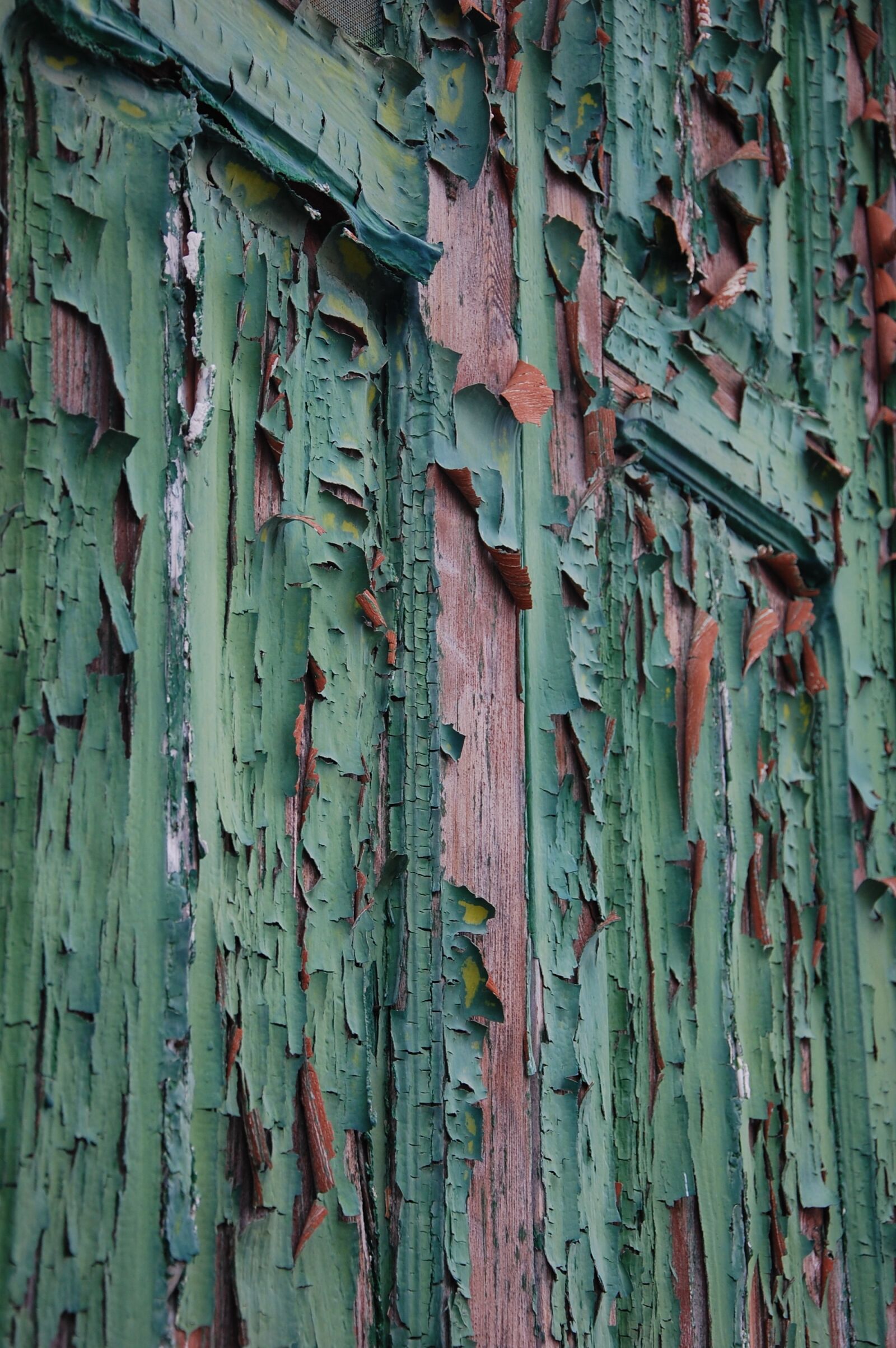 Nikon D40 sample photo. Wood, shutter, color photography