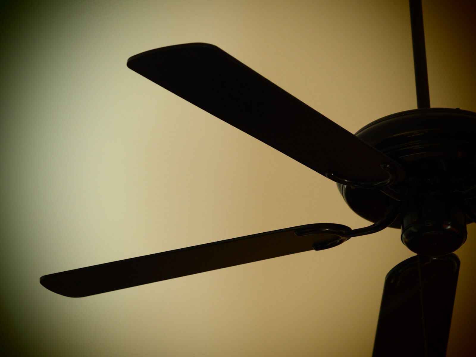 Olympus OM-D E-M5 II sample photo. Ceiling fan, fan, decorate photography