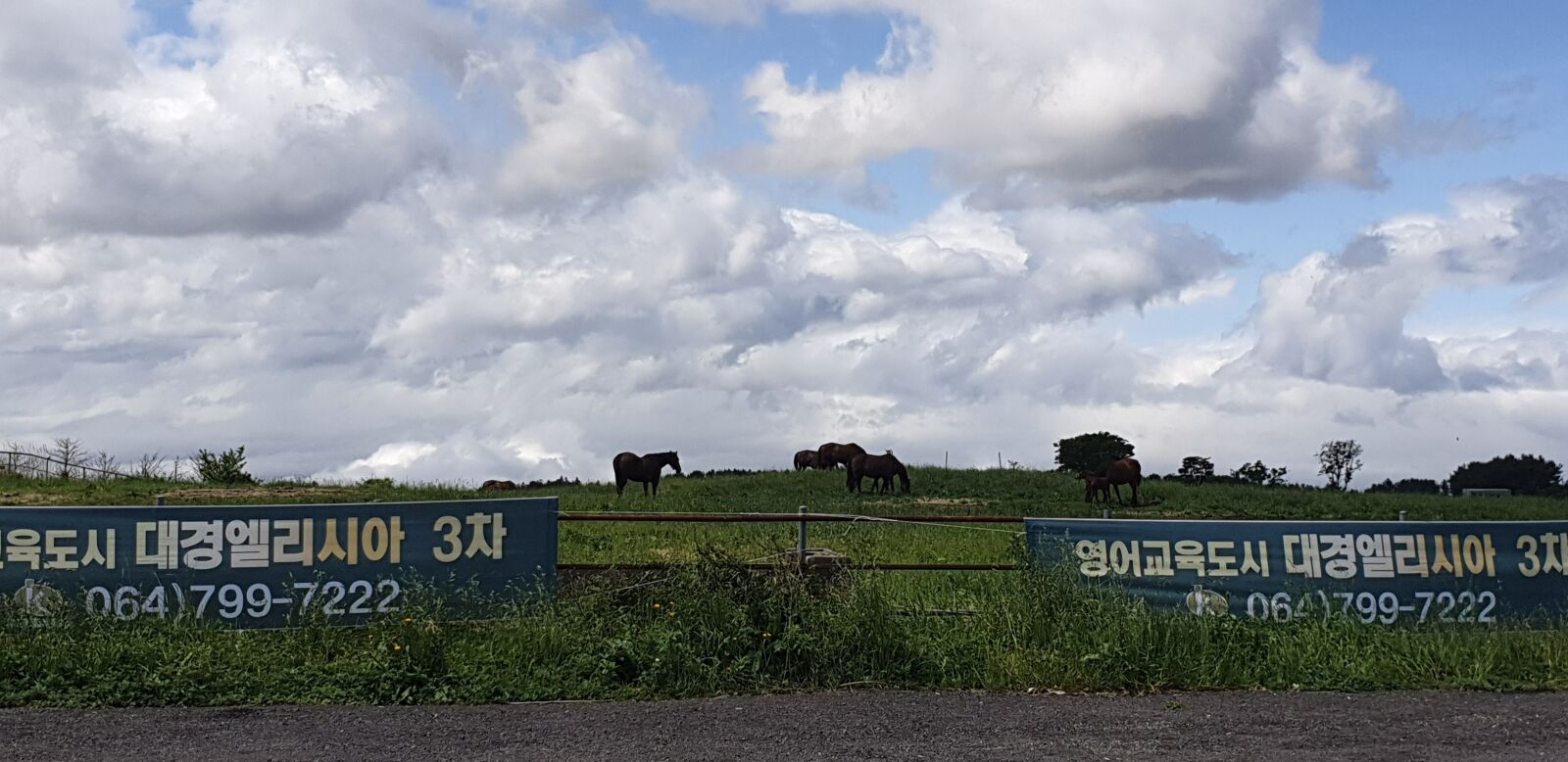 Samsung Galaxy S9+ sample photo. Jeju, nature, korea photography