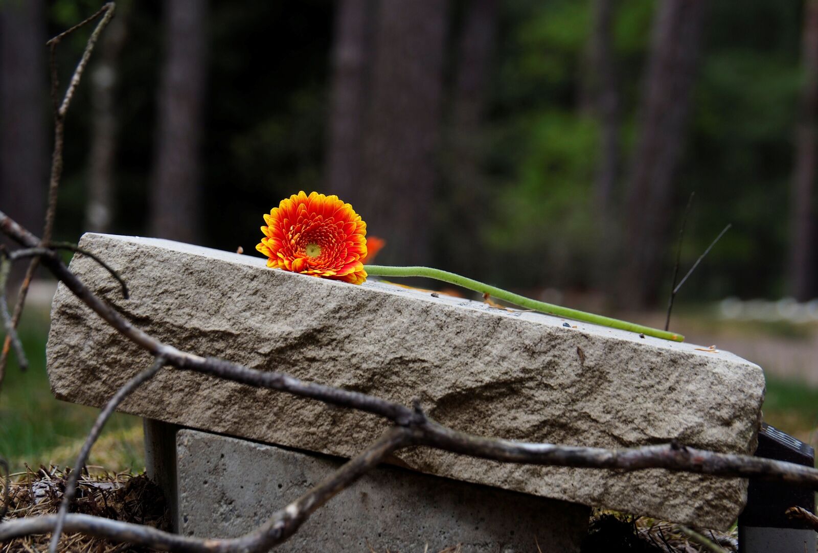 Olympus OM-D E-M10 II sample photo. Tombstone, respect, memory photography