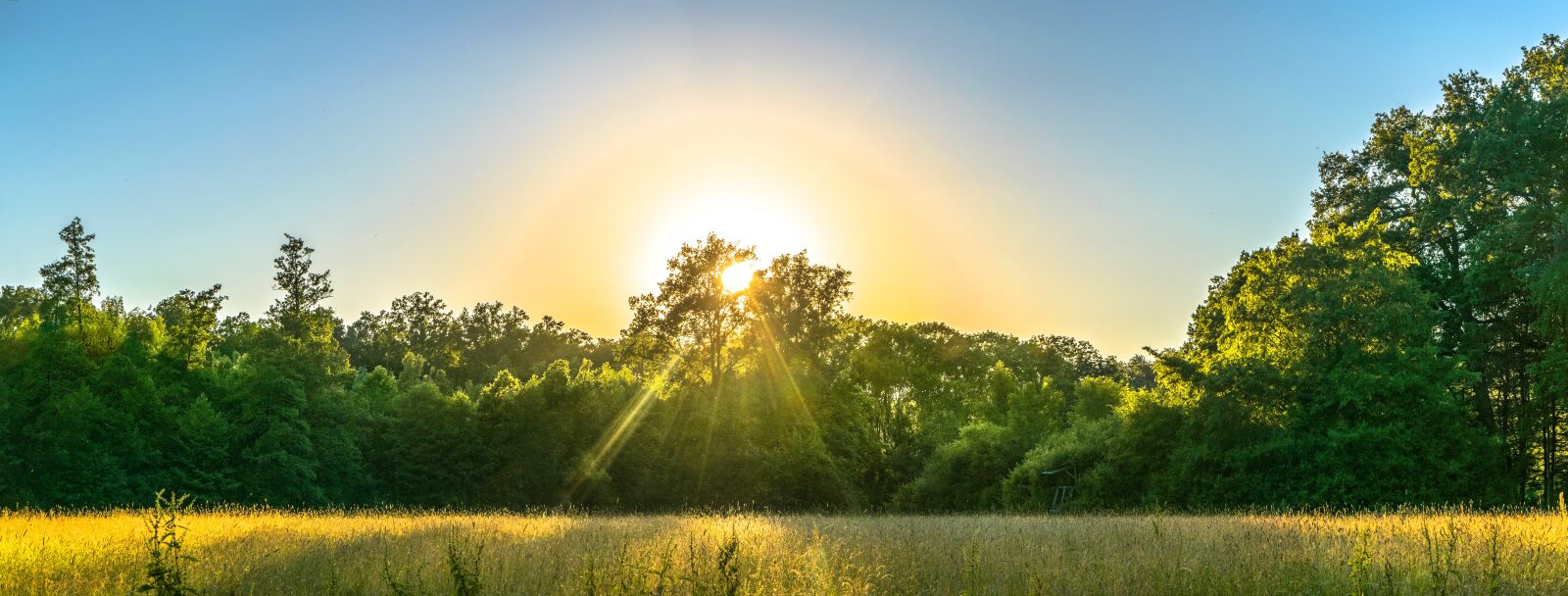 Nikon D5300 sample photo. Nature, outddor, landscape photography