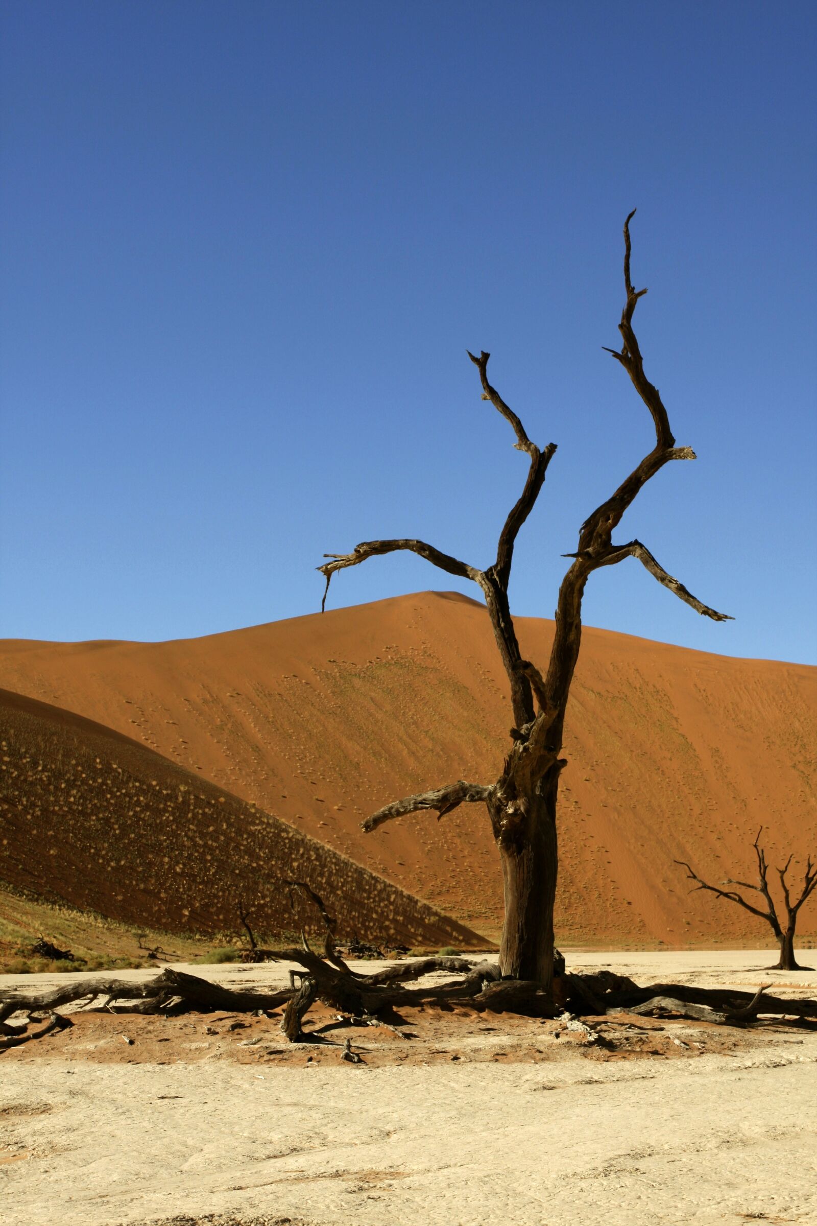 Canon EOS 40D sample photo. Namibia, sossusvlei, dunes photography