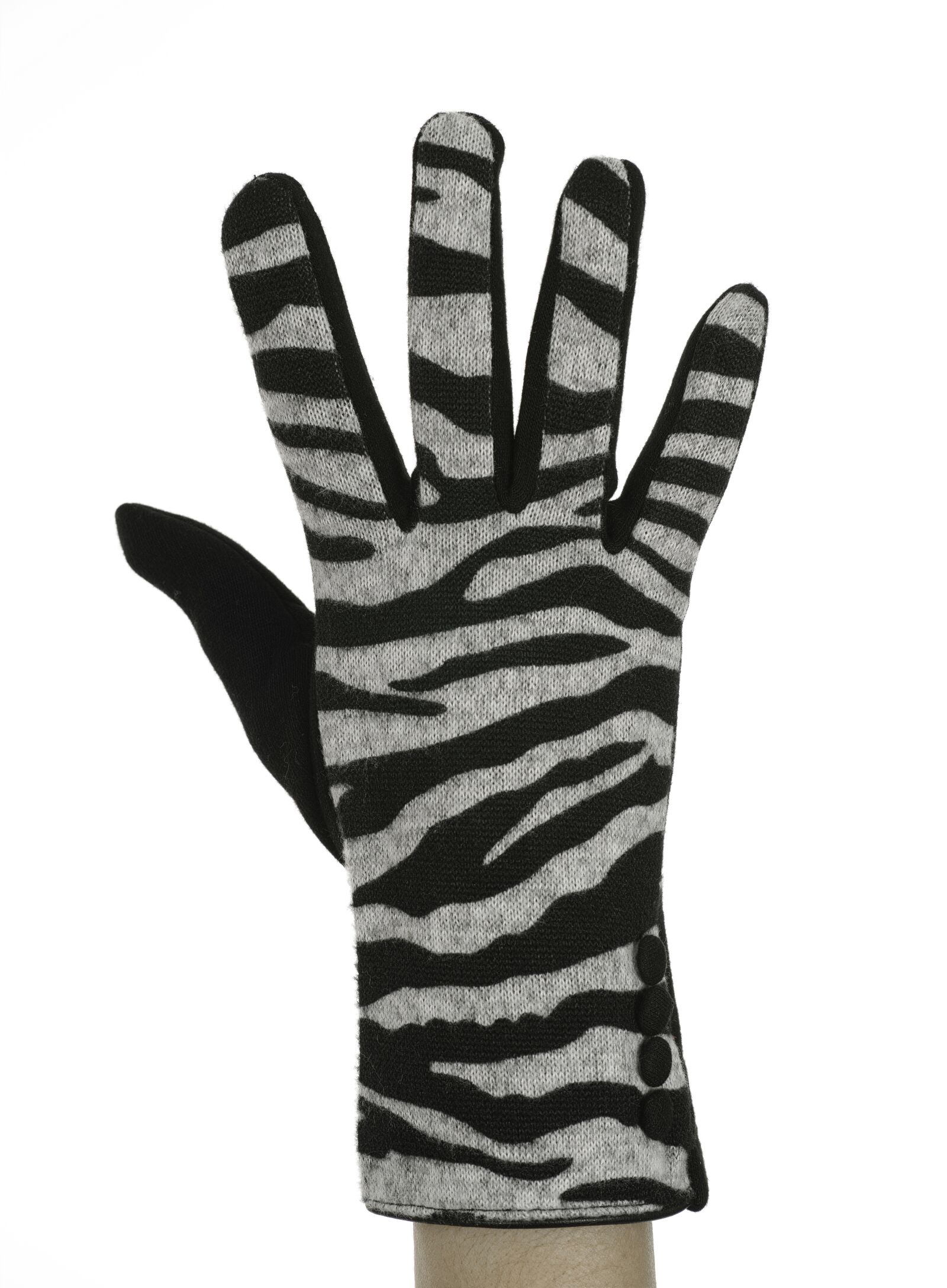 Sigma dp3 Quattro sample photo. Zebra, black, glove photography