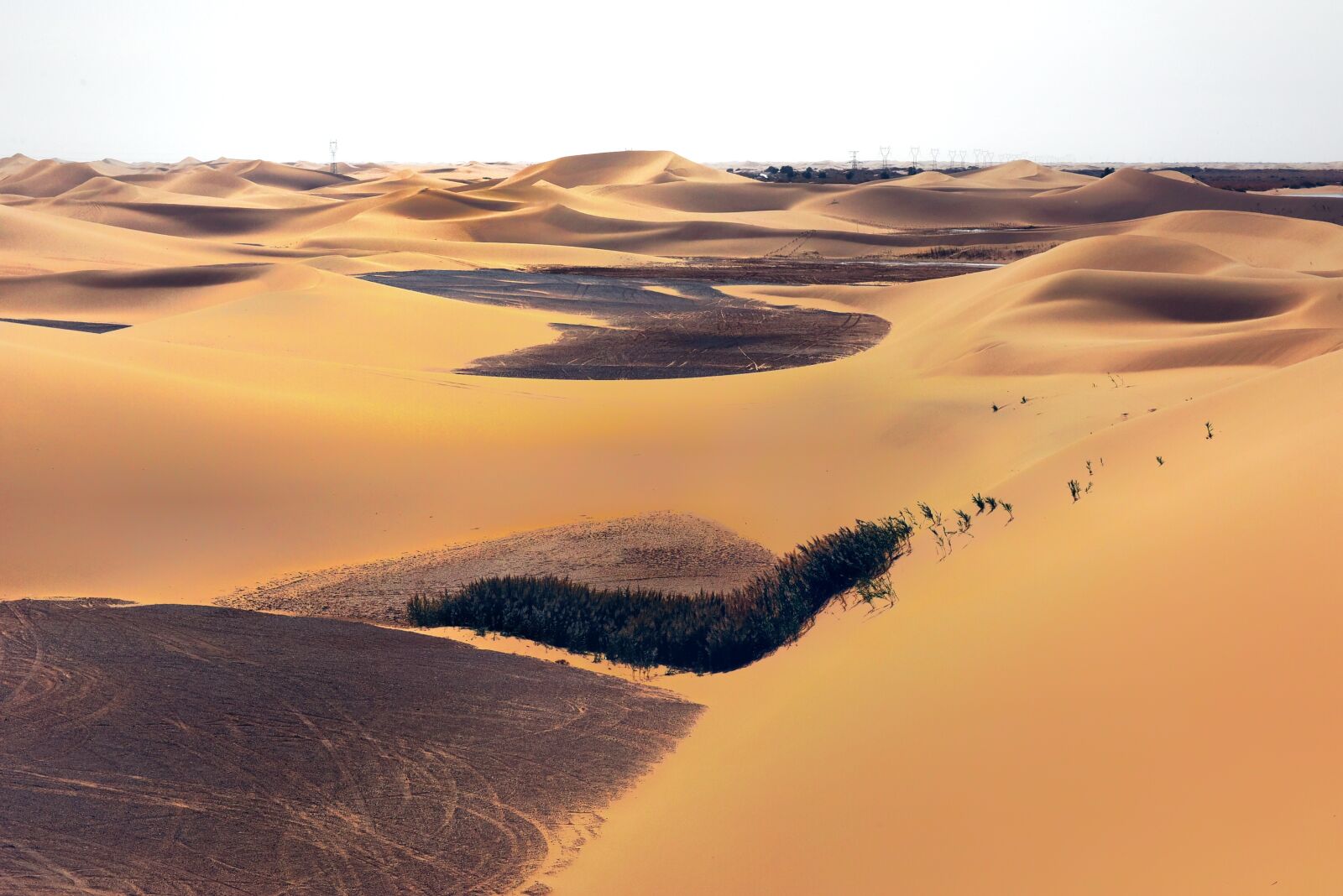 Nikon D810 sample photo. Desert, the scenery, no photography